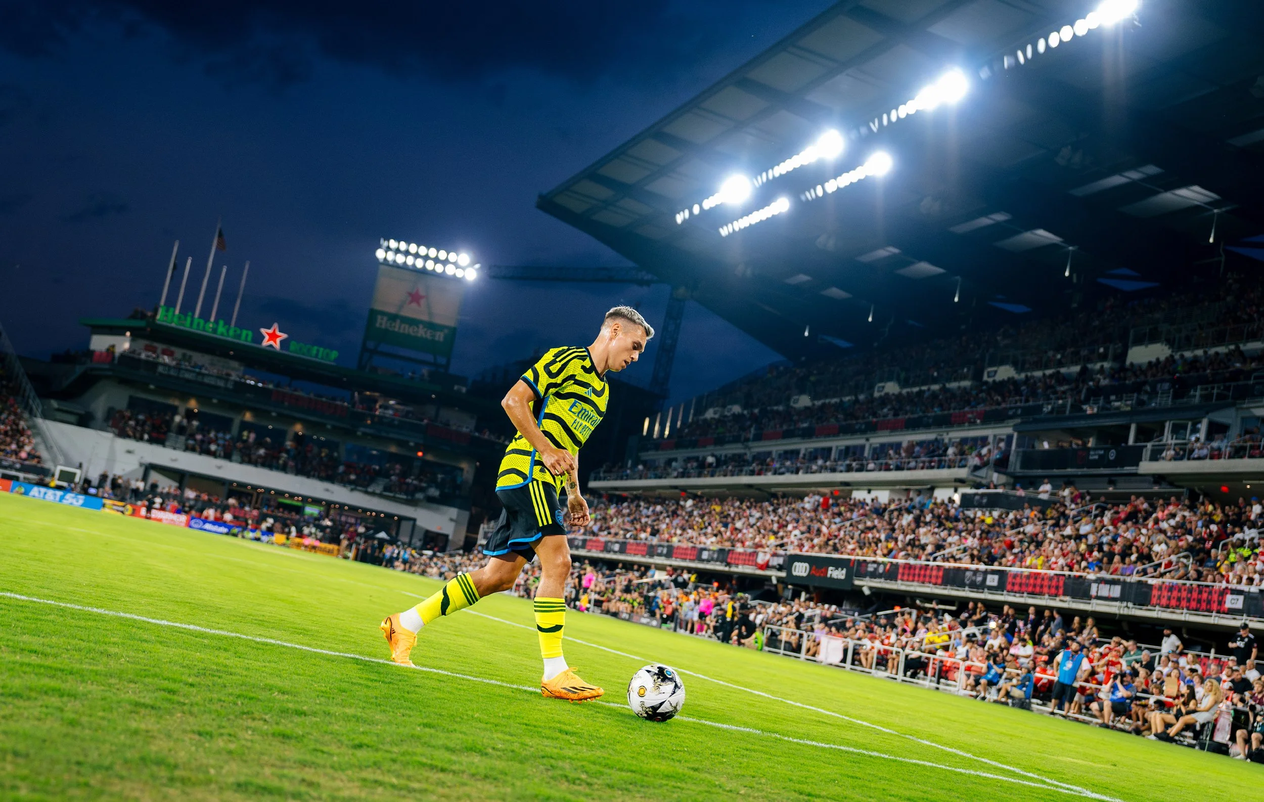 Artboard 1 copy 11.jpg