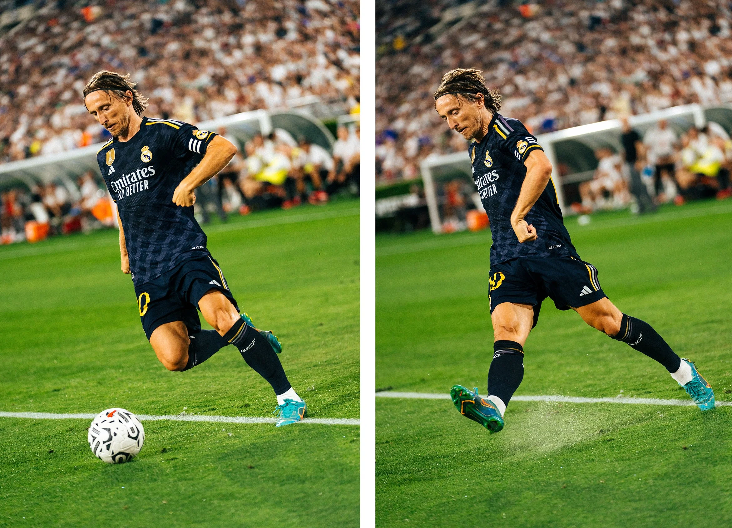 Artboard 1 copy 14.jpg