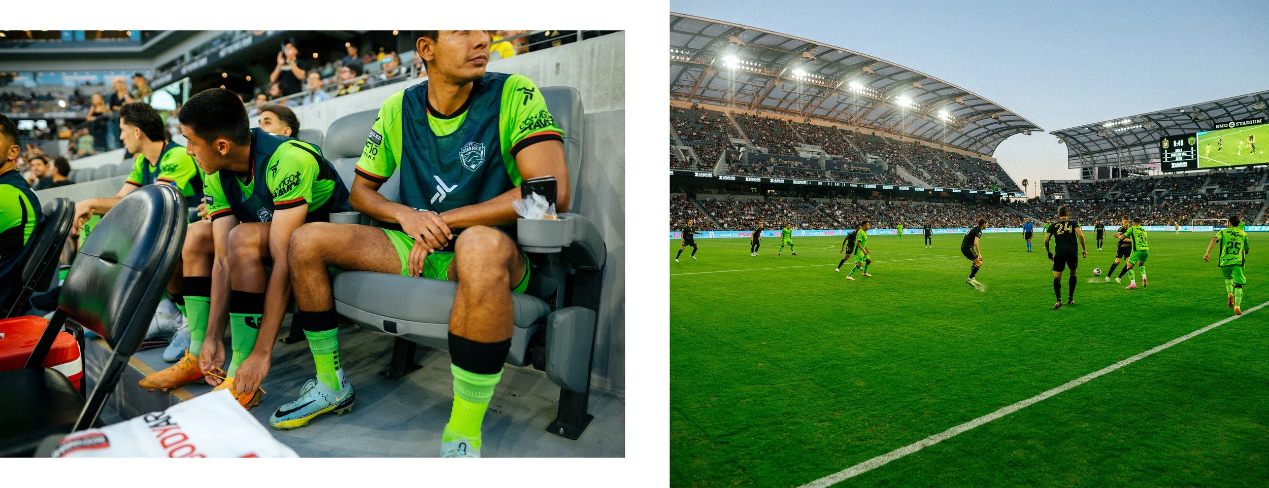 Artboard 1 copy 4.jpg