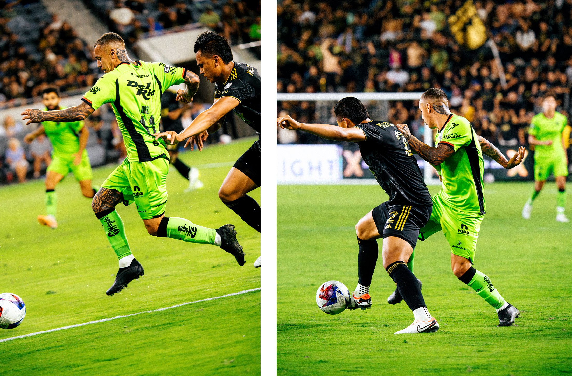 Artboard 1 copy 7.jpg