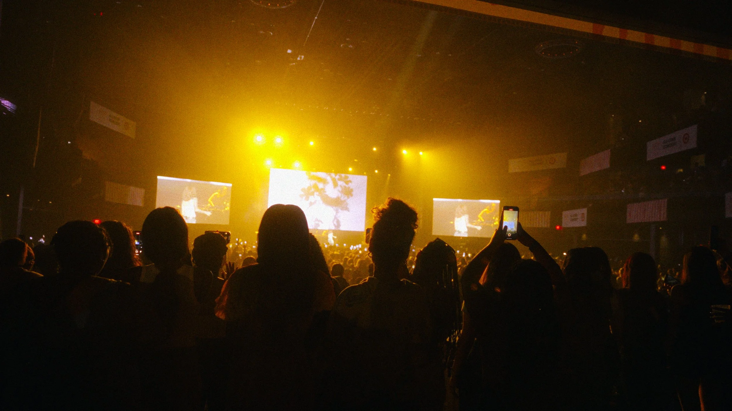 MLS Concert Frames-13.jpg