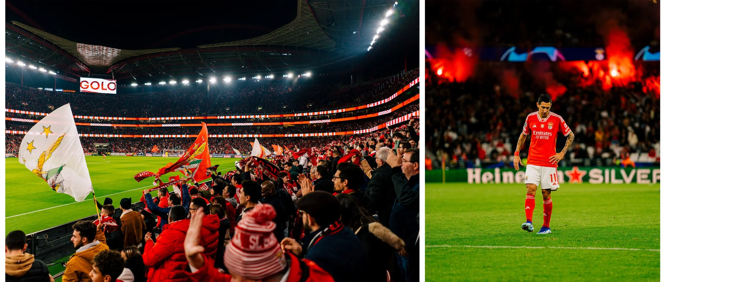 Artboard 1 copy 2.jpg