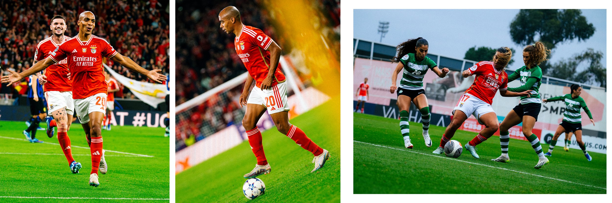 Artboard 1 copy 3.jpg