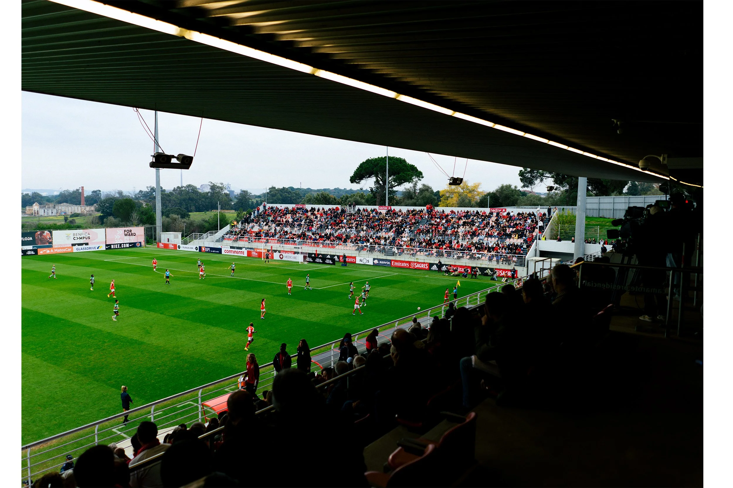 Artboard 1 copy 4.jpg