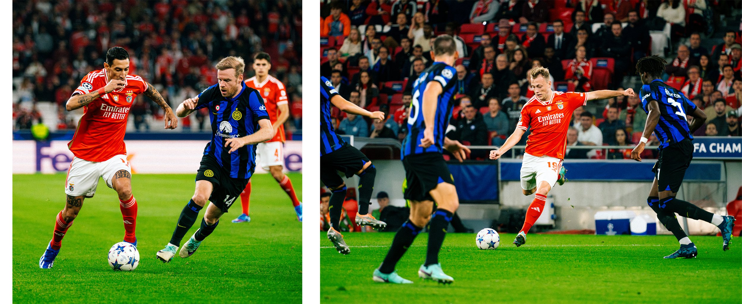 Artboard 2 copy 2.jpg