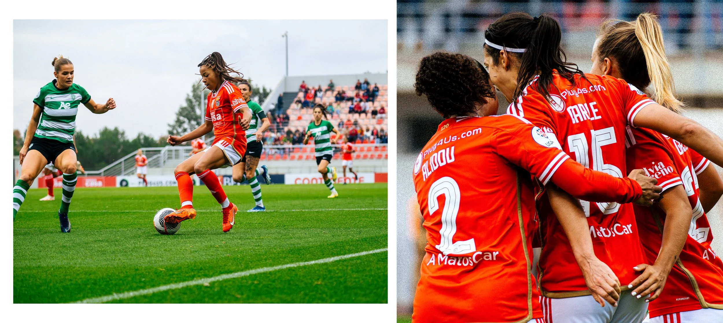 Artboard 3 copy 2.jpg