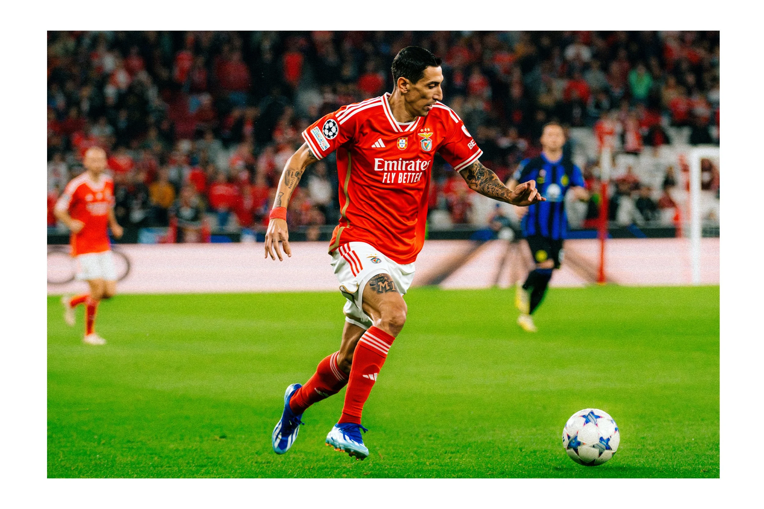 Artboard 4 copy 4.jpg