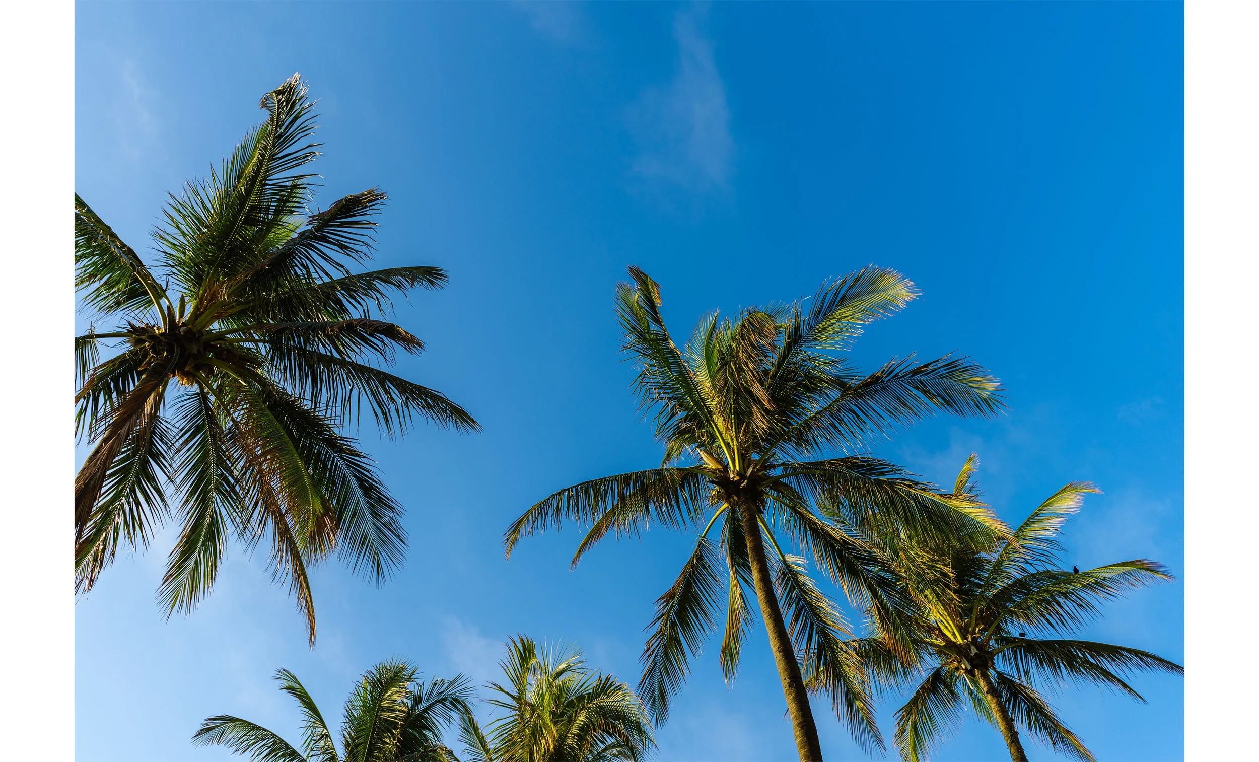 Artboard 2 copy 2.jpg