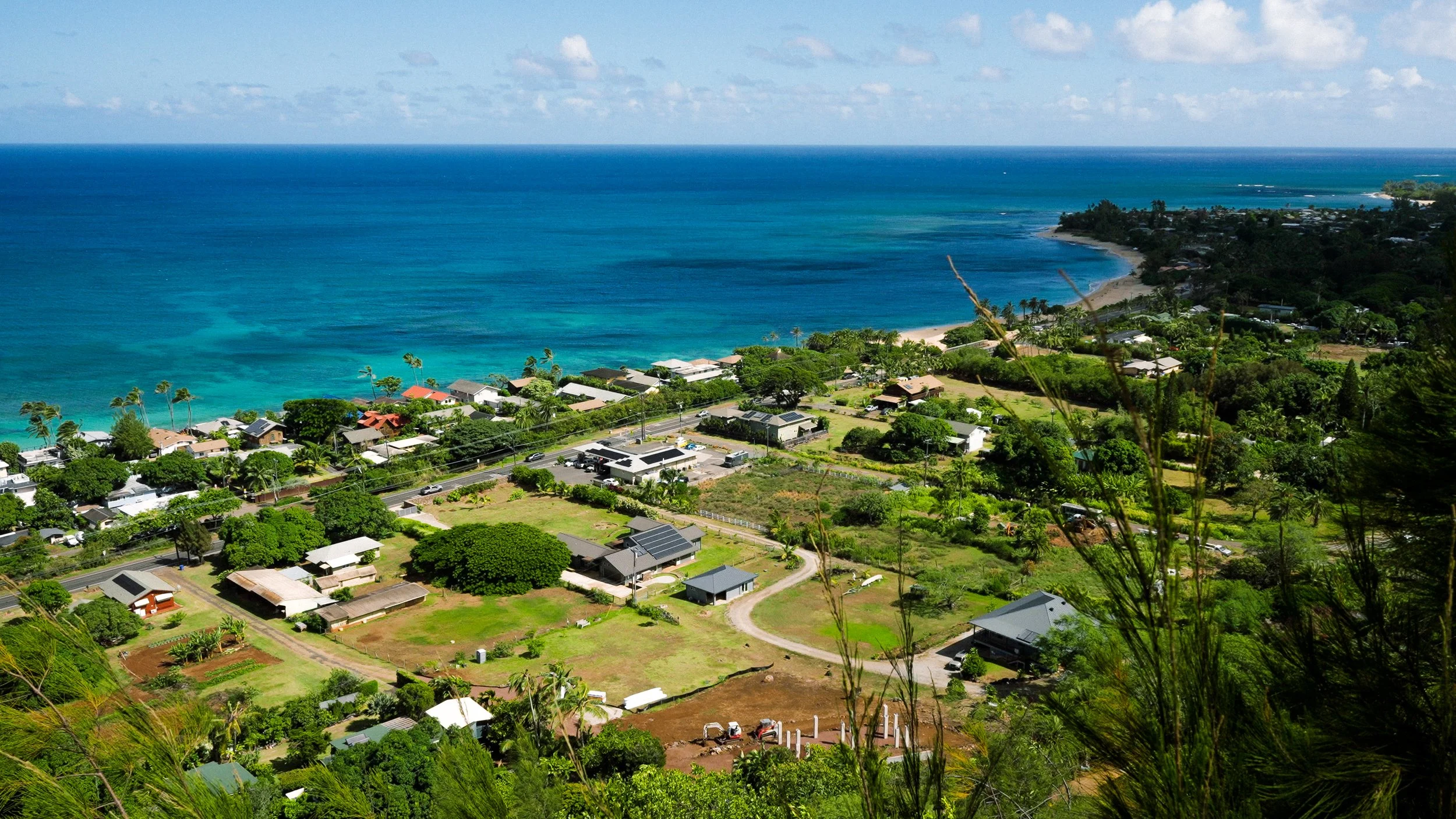 1. Meet the Athletes FINAL Copy 01.00_00_57_19.Still001.jpg