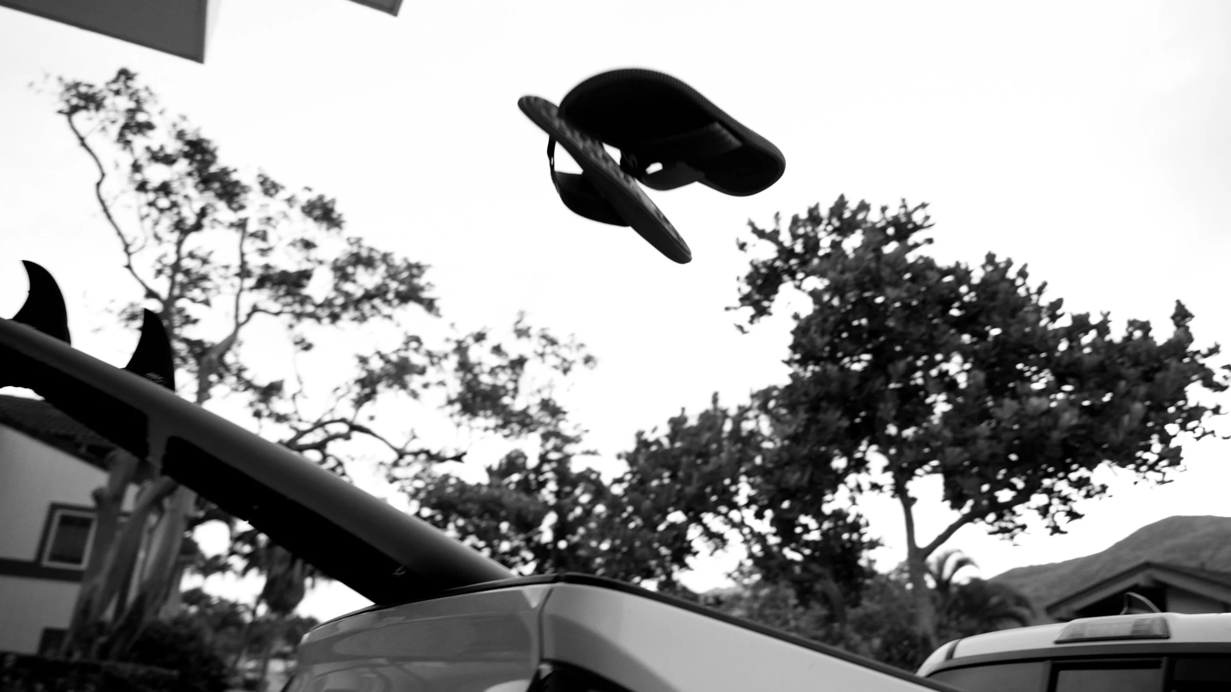 1. Meet the Athletes FINAL.00_02_11_03.Still012.jpg