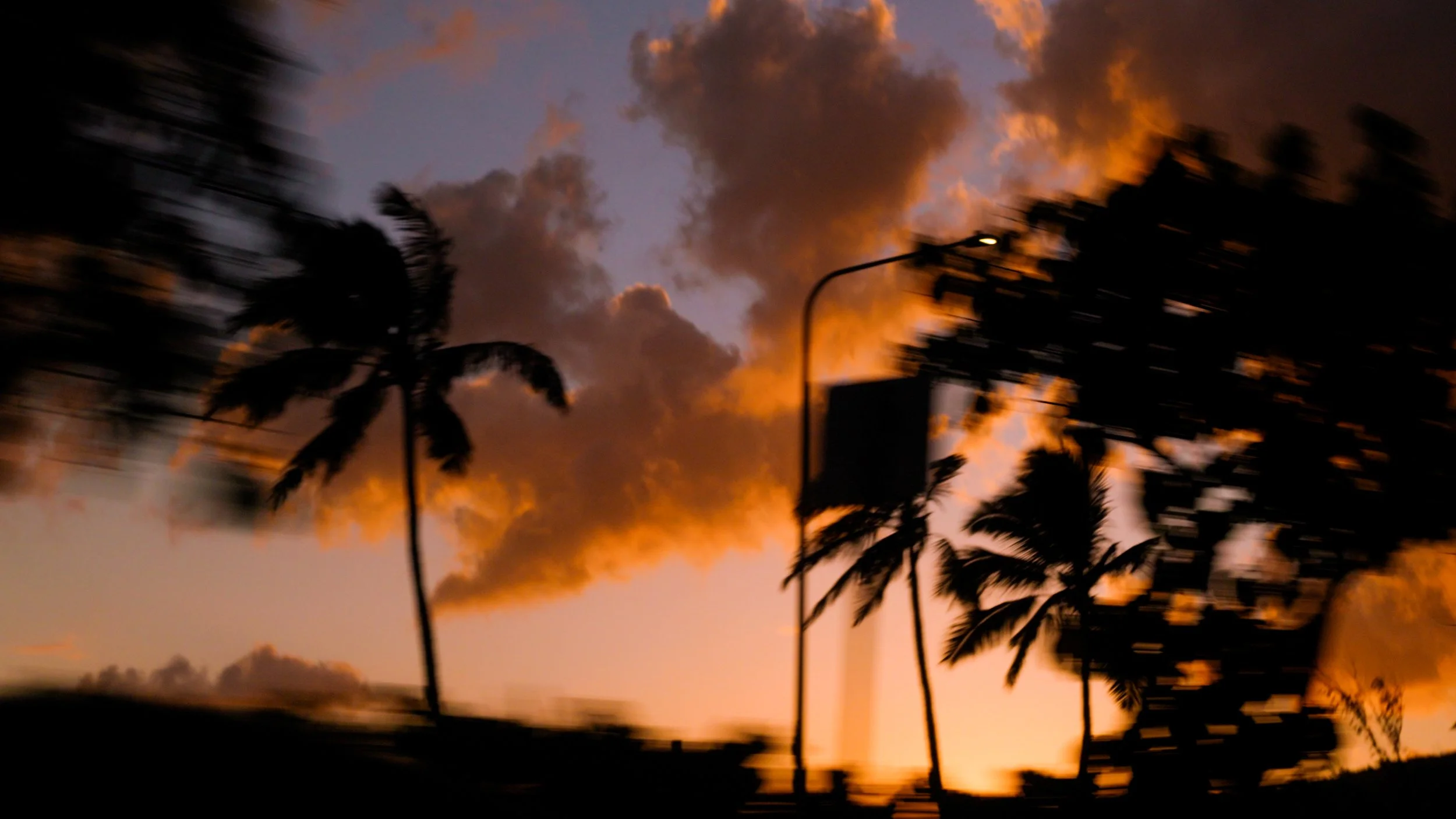 2. Zeke.00_05_03_09.Still006.jpg