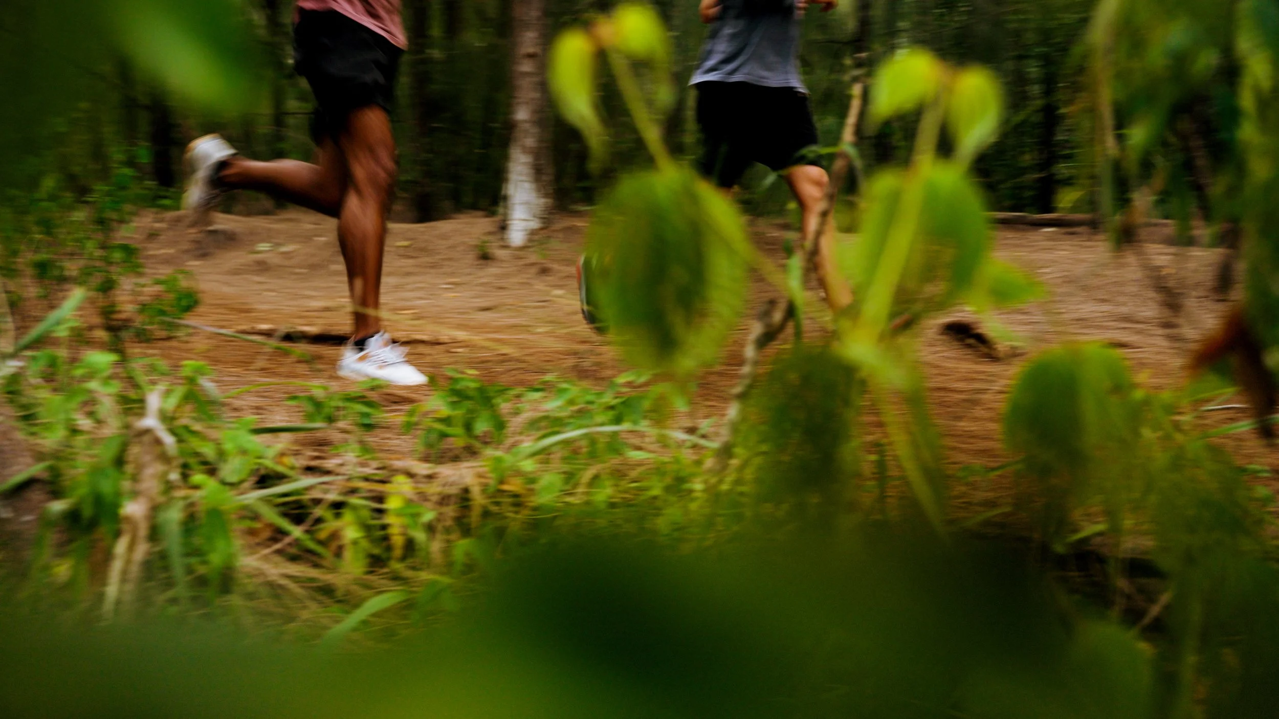 3. LE.00_00_11_21.Still012.jpg