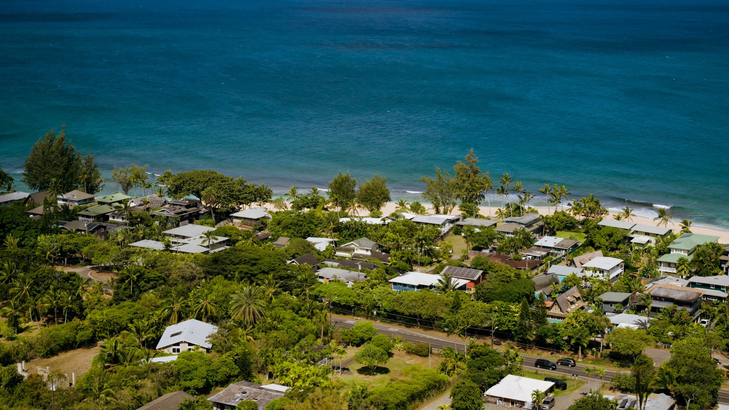 3. LE.00_00_20_20.Still014.jpg