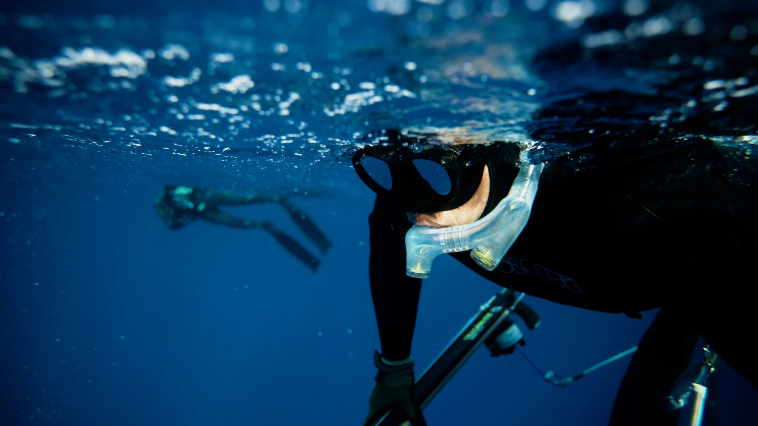 Campaign Video (All)16x9.00_00_20_22.Still002.jpg