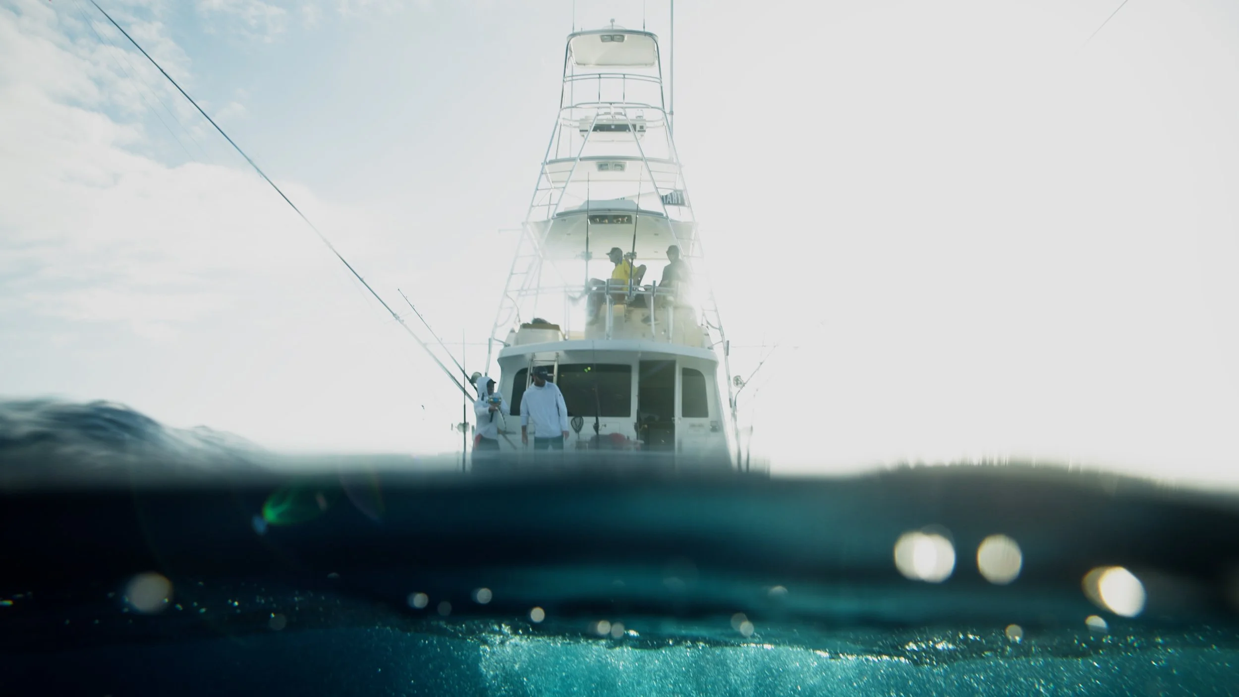 Campaign Video (All)16x9.00_00_51_15.Still005.jpg