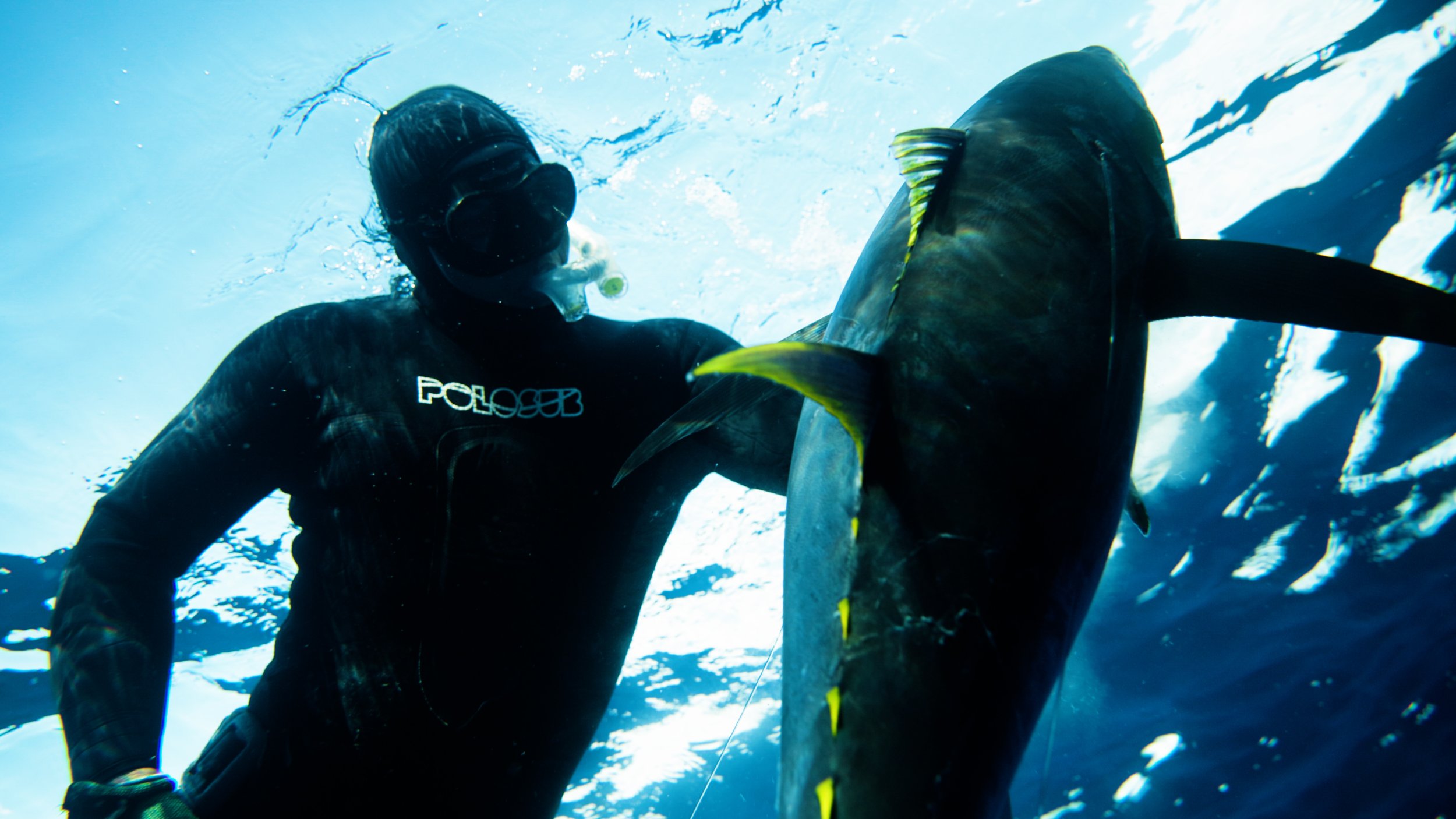 Campaign Video (All)16x9.00_01_03_20.Still006.jpg