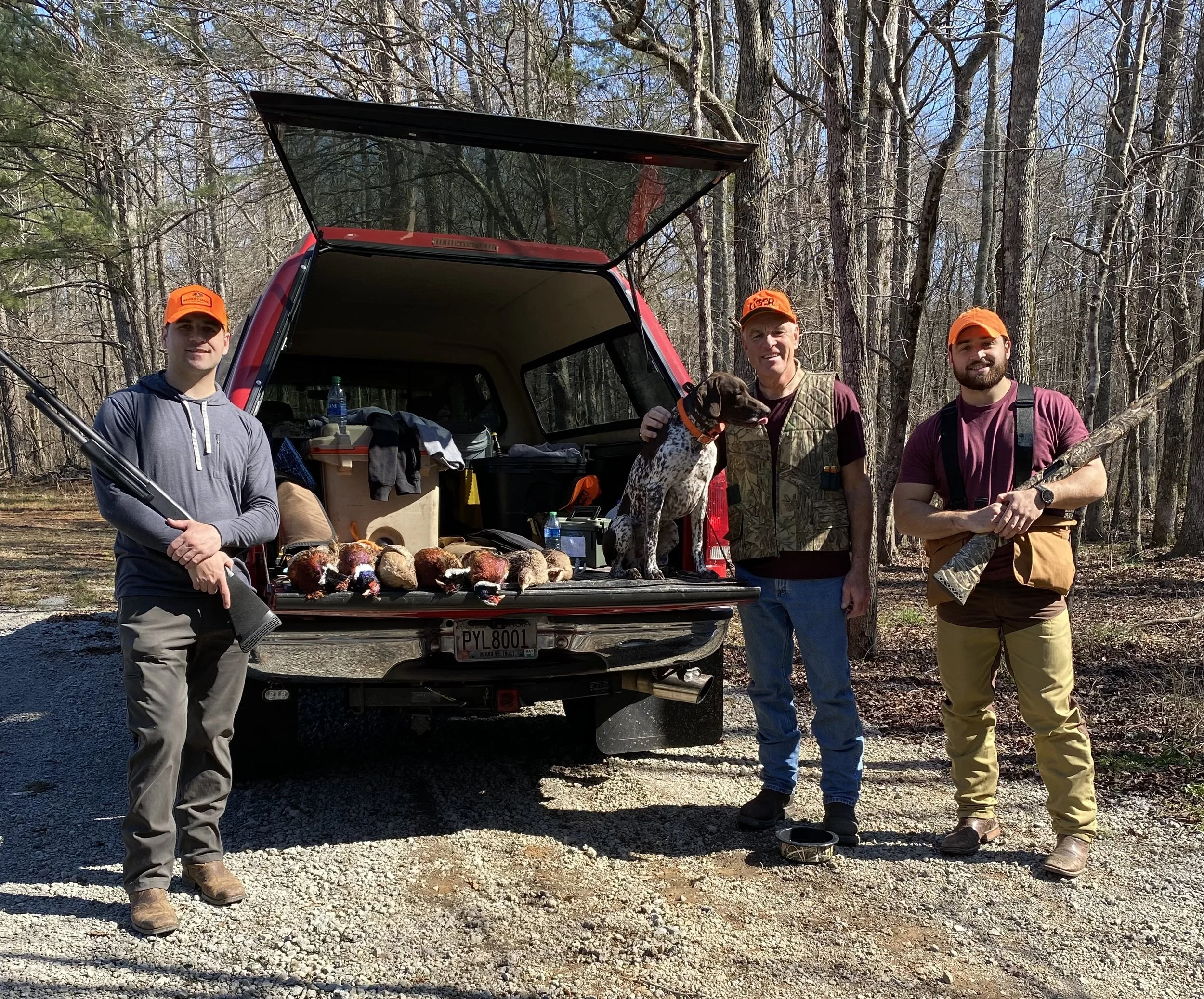 Self Guided Hunt - This Young GSP Had An Awesome Hunt
