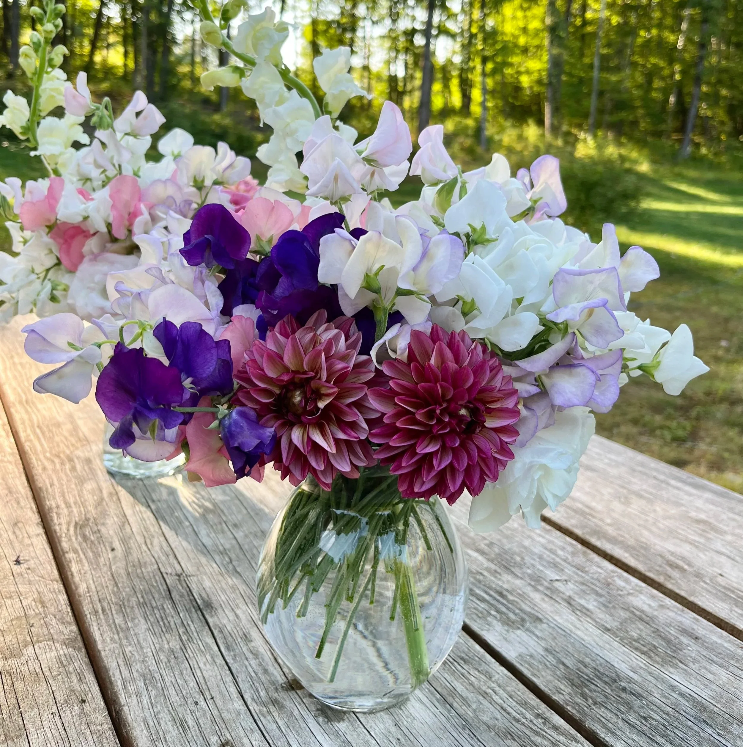 flowers19.jpg