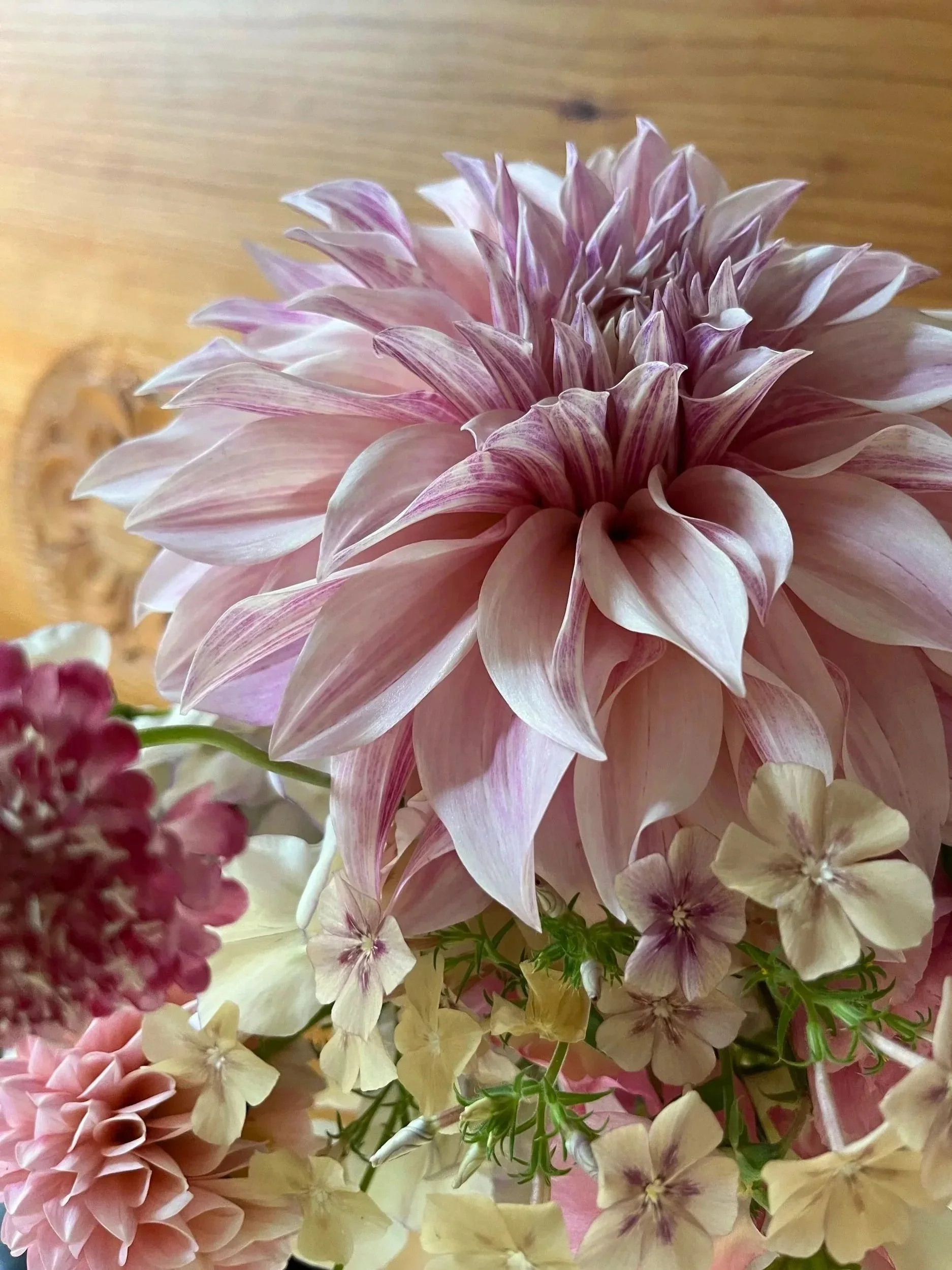flowers23.jpg