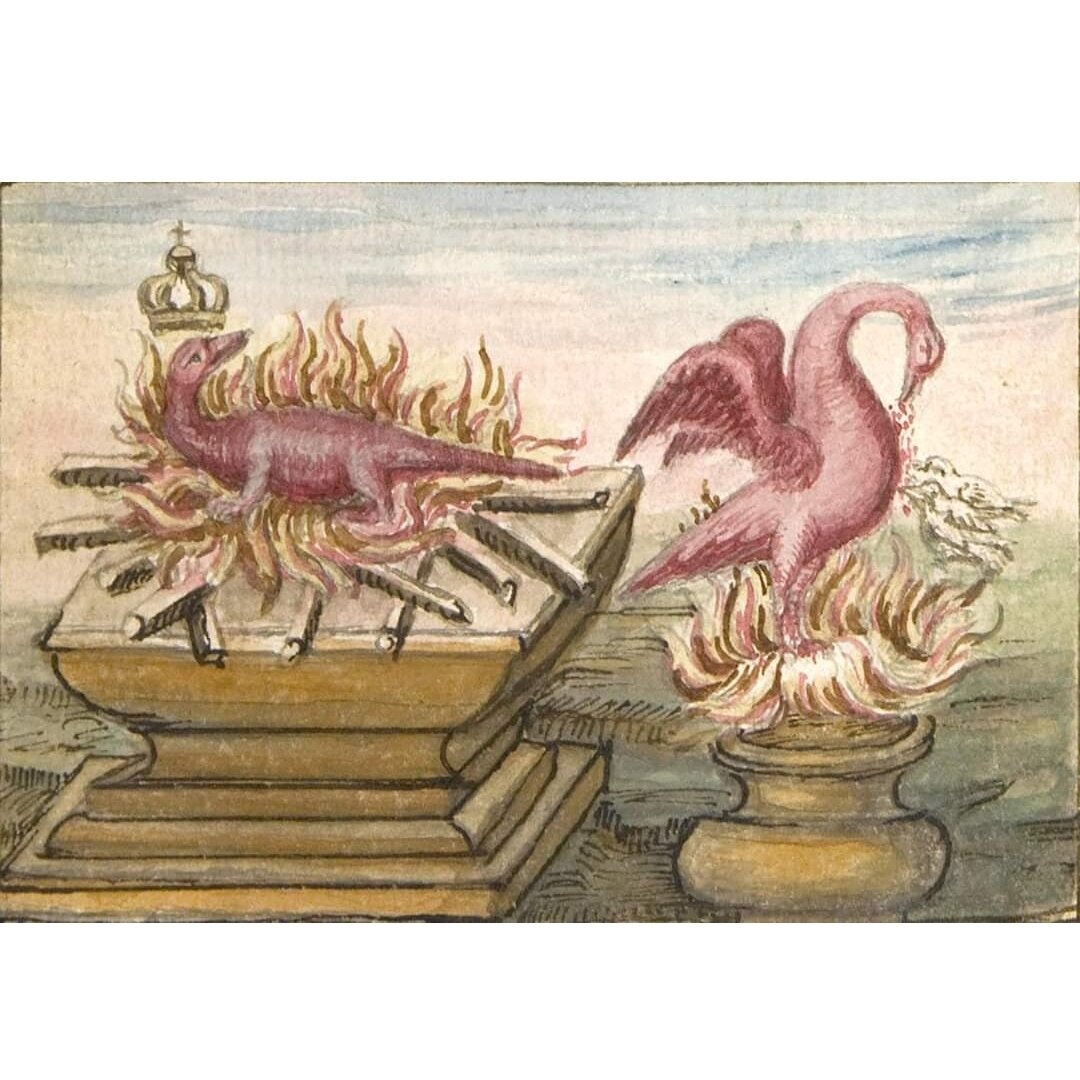 Legend says that after a life spanning 500 years the phoenix flies to Egypt to land in Heliopolis, the City of the Sun. It creates a nest atop the Temple of the Sun made from cinnamon and resins which is then ignited by the rays of the sun, immolatin