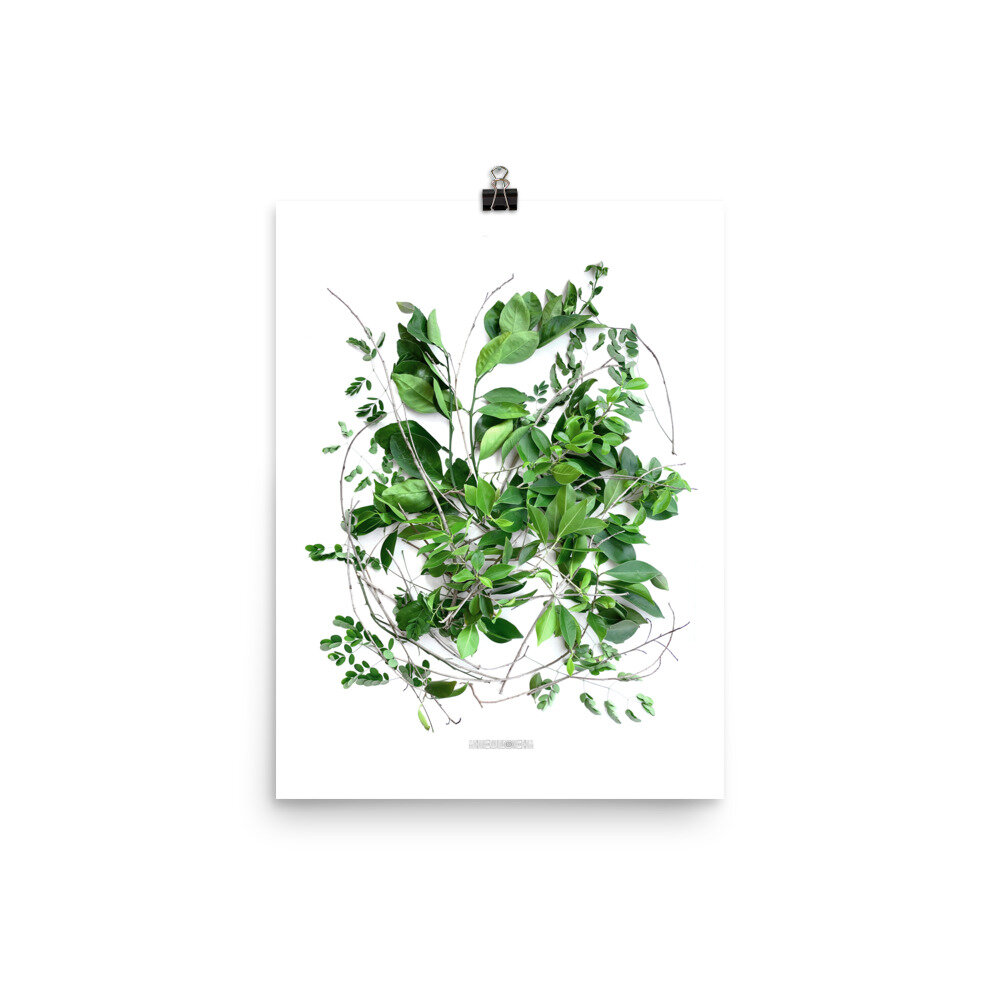 enhanced-matte-paper-poster-(in)-12x16-transparent-612b5bdd1eadc.jpg