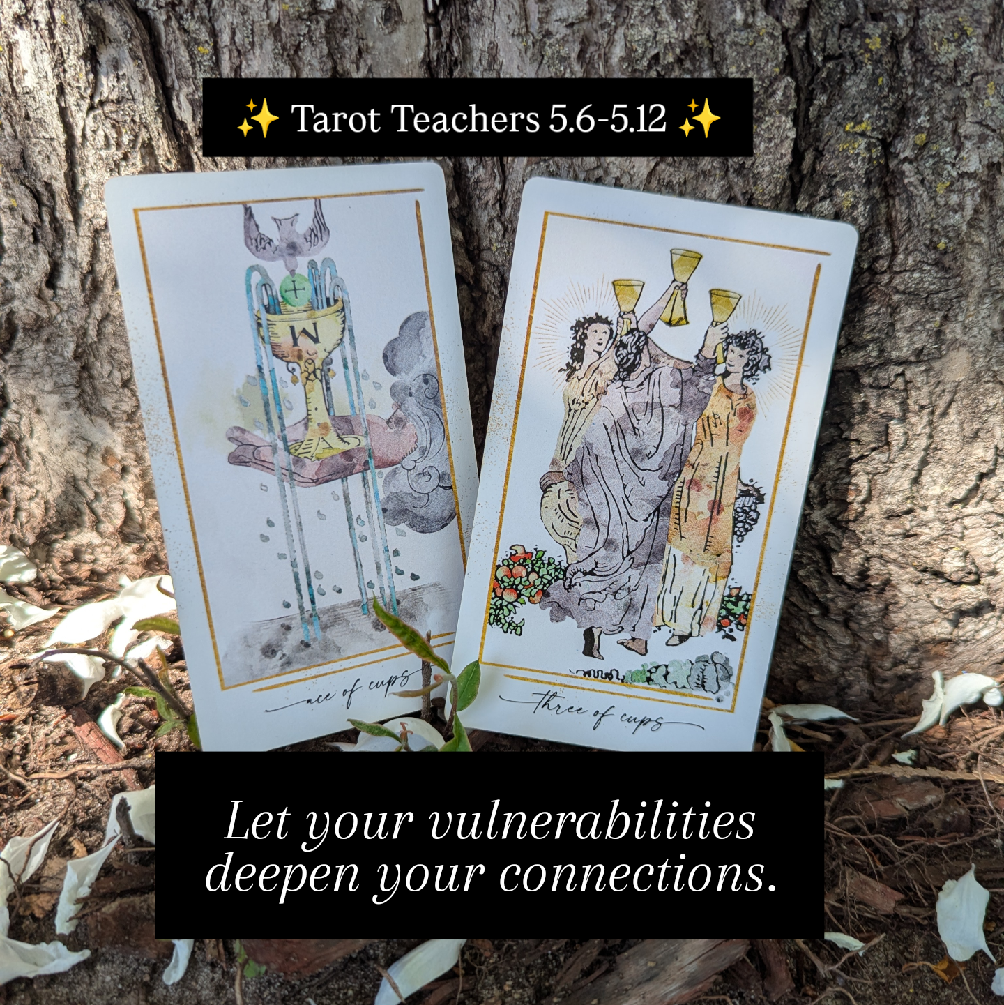 5.6-5.12.2025: Ace of Cups & Three of Cups