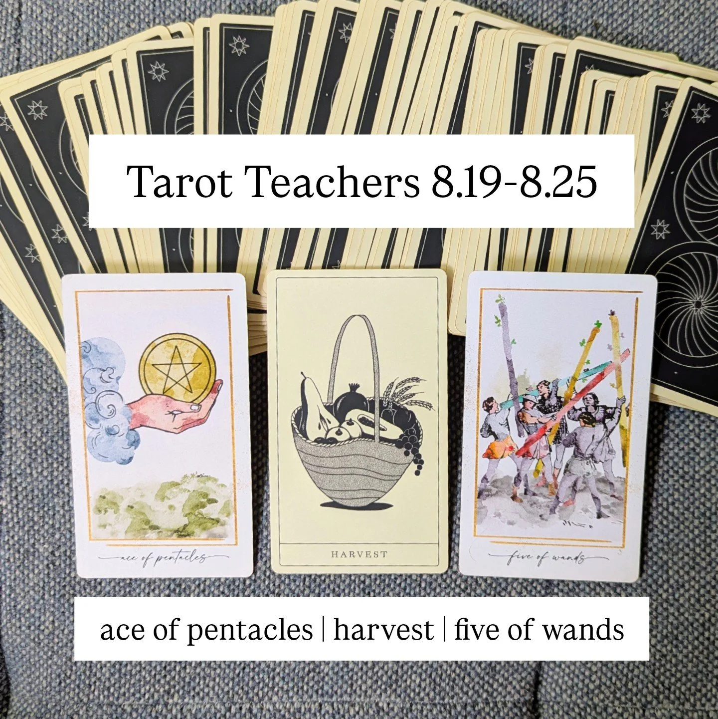 8.19-8.25.2025: Harvest, Ace of Pentacles, & Five of Wands