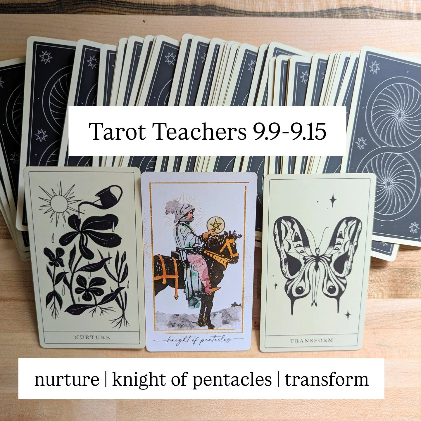 9.9-9.15.2025: Knight of Pentacles, Nurture, & Transform