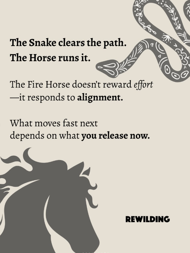 Credit: @rewildingforwomen