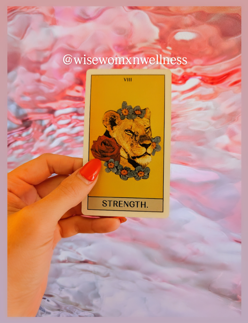 9.8-9.14.2026: Softness is Strength