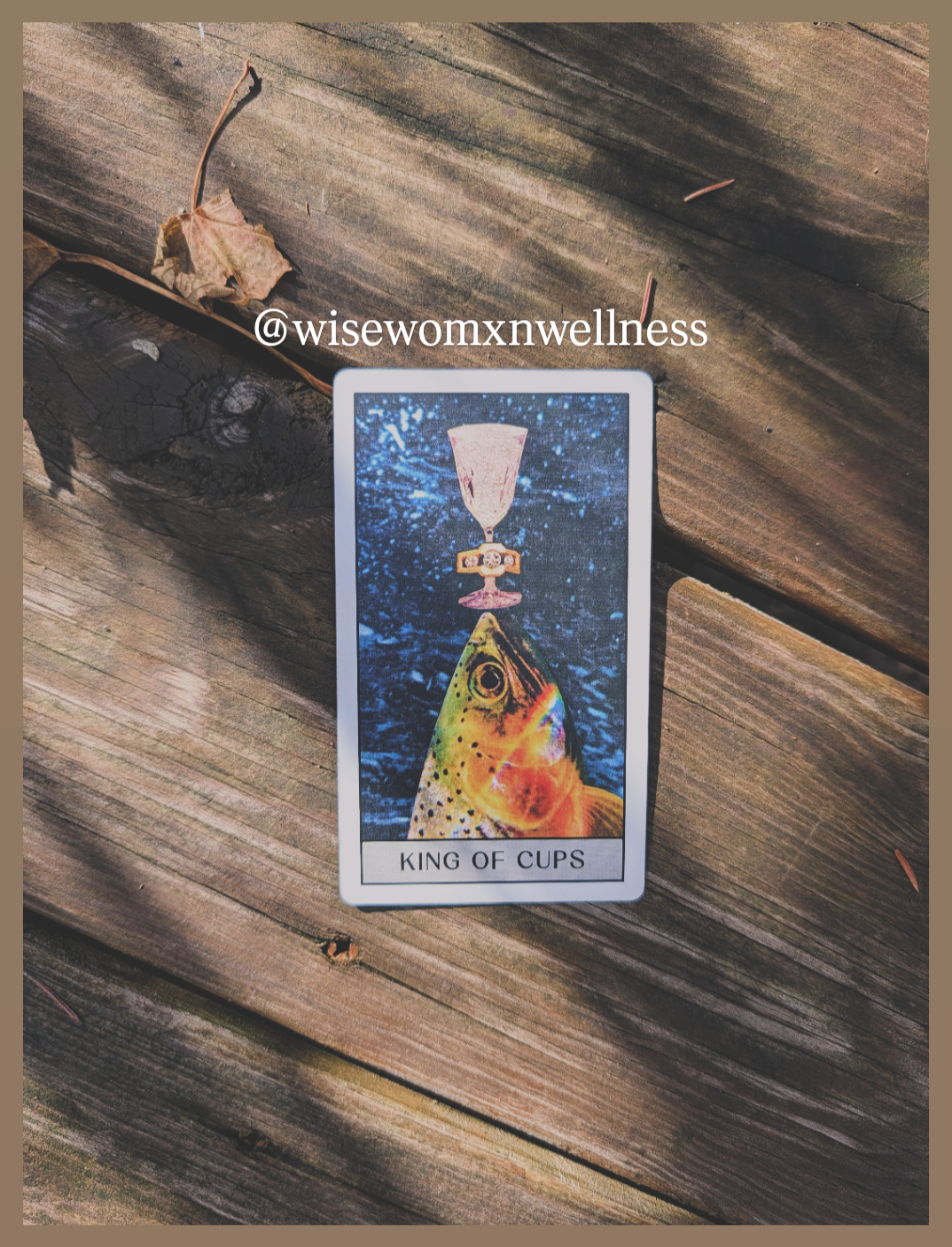 9.15-9.21.2026: Practicing Emotional Discernment with the King of Cups