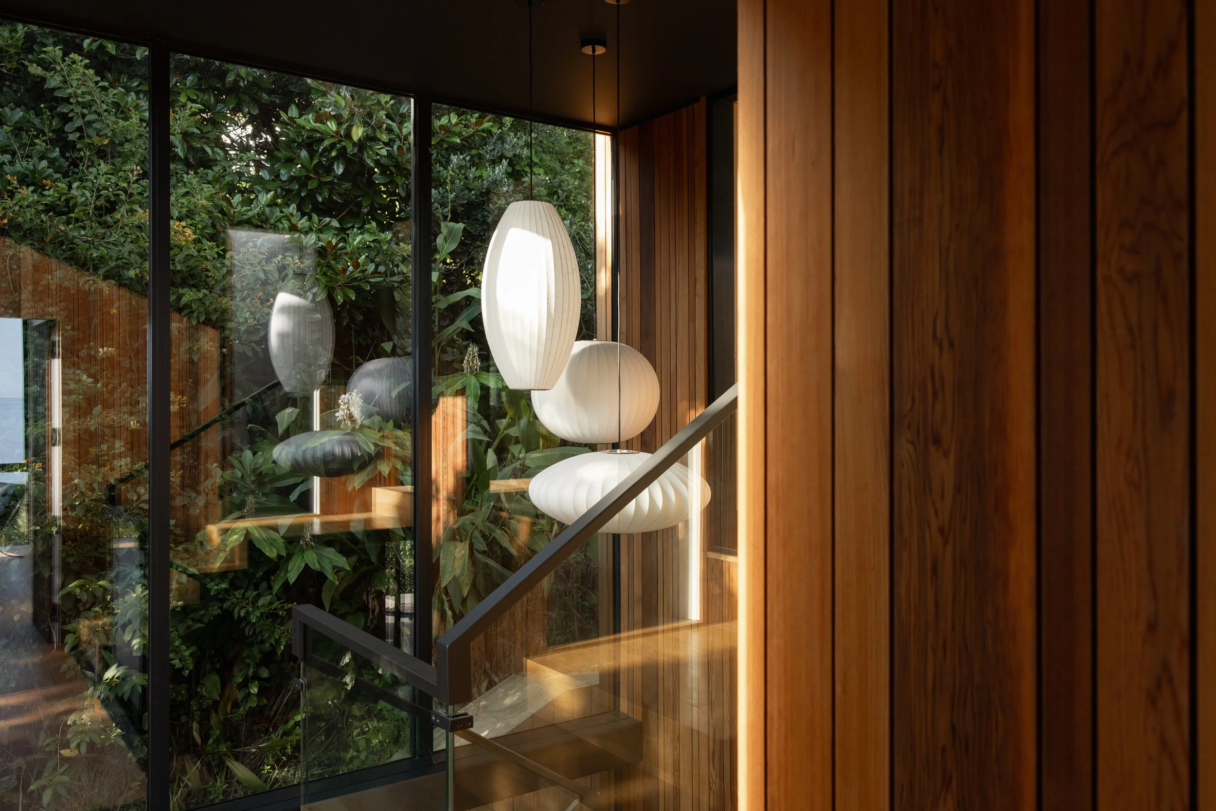 UntitledStudio-DCBuild-Waiheke--3.jpg