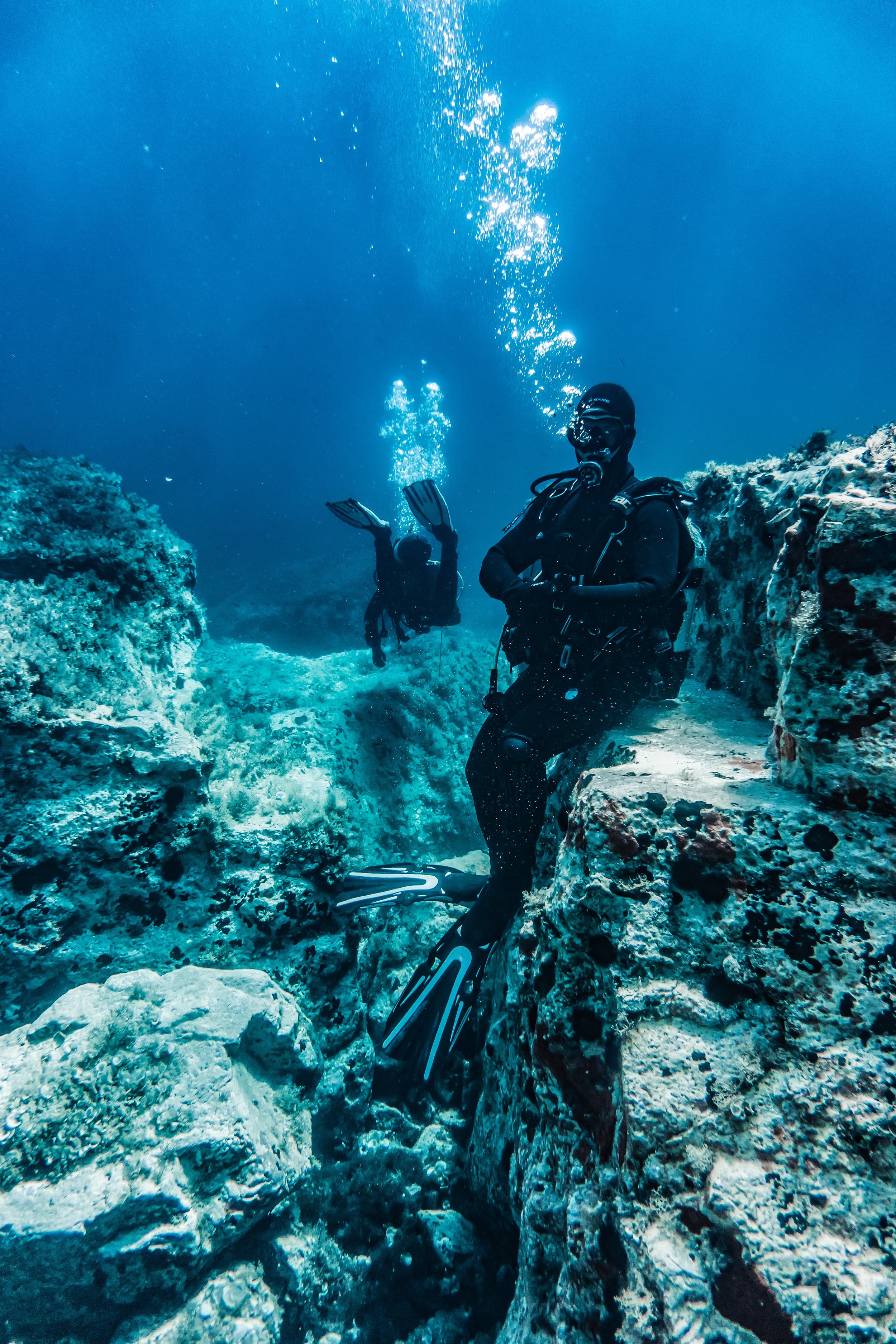 About us — Anemone Divers - Freelance Scuba Diving Website