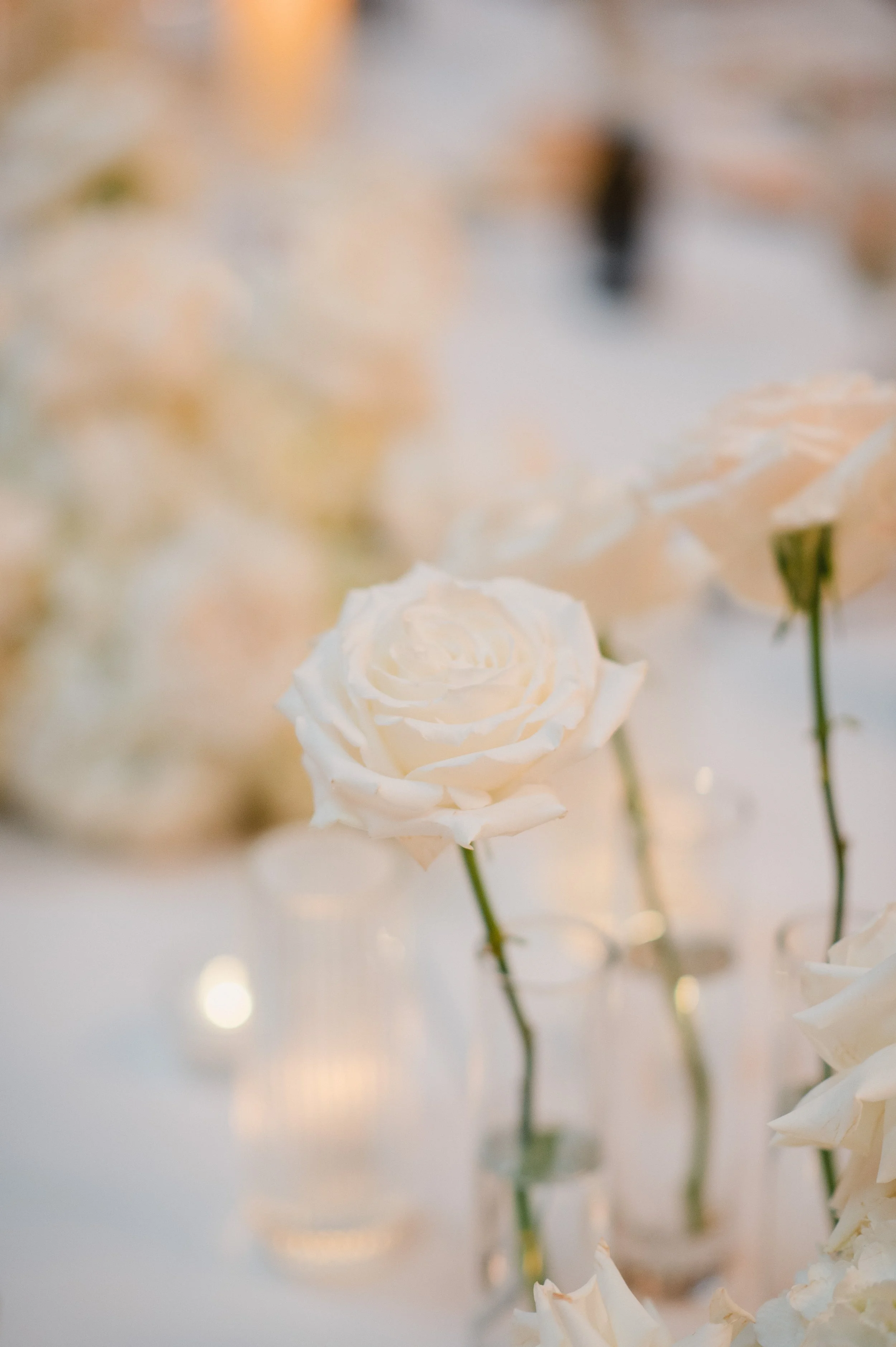 7.6.24E&MWeddingFINAL_-1701.jpg