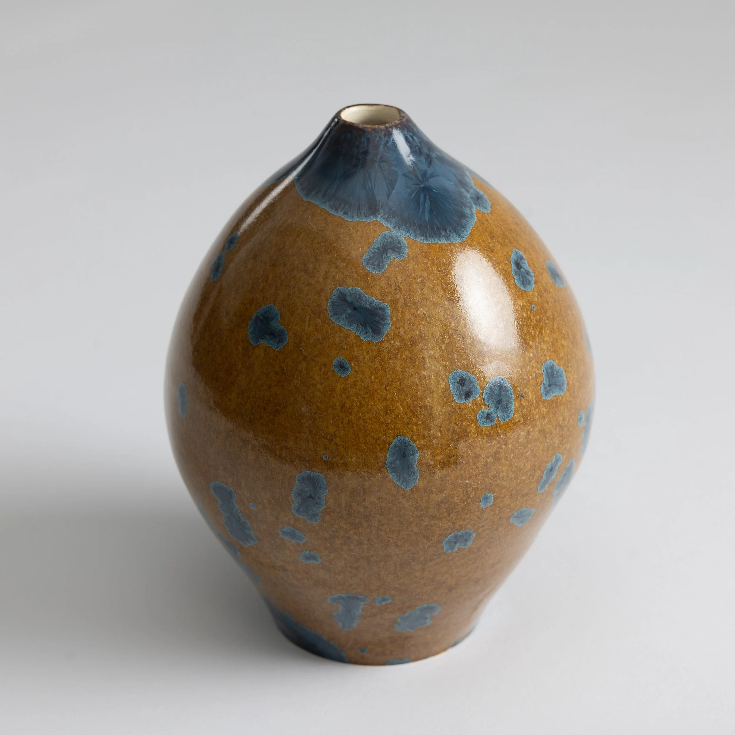 RFC 2025SALA 31 1.jpg