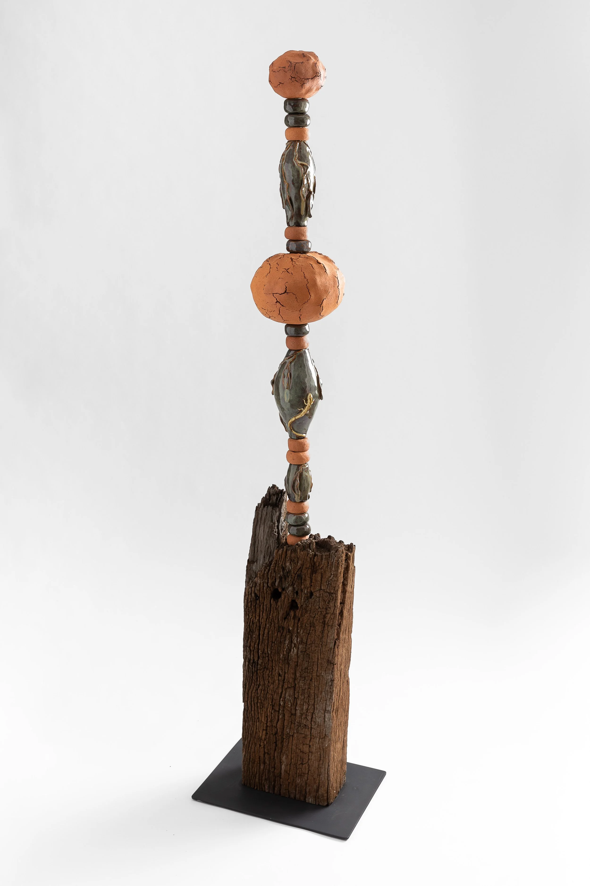 Desert Gecko - $1950