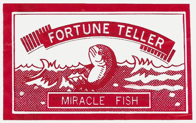 Details about   Fortune Teller Fish Hydrophobic Toy 10/pk with Instructions 