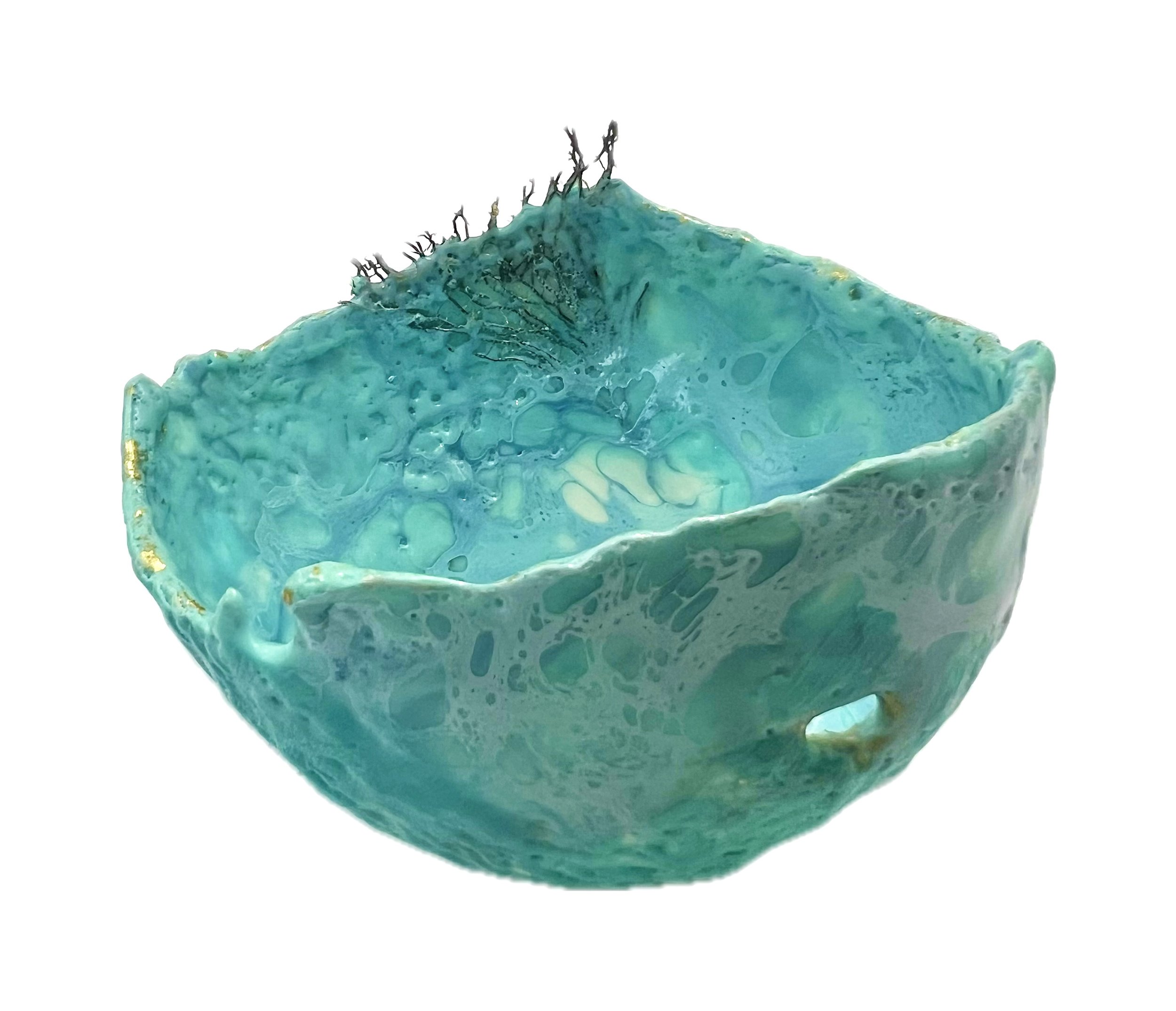 Restoring the Reef - Coral