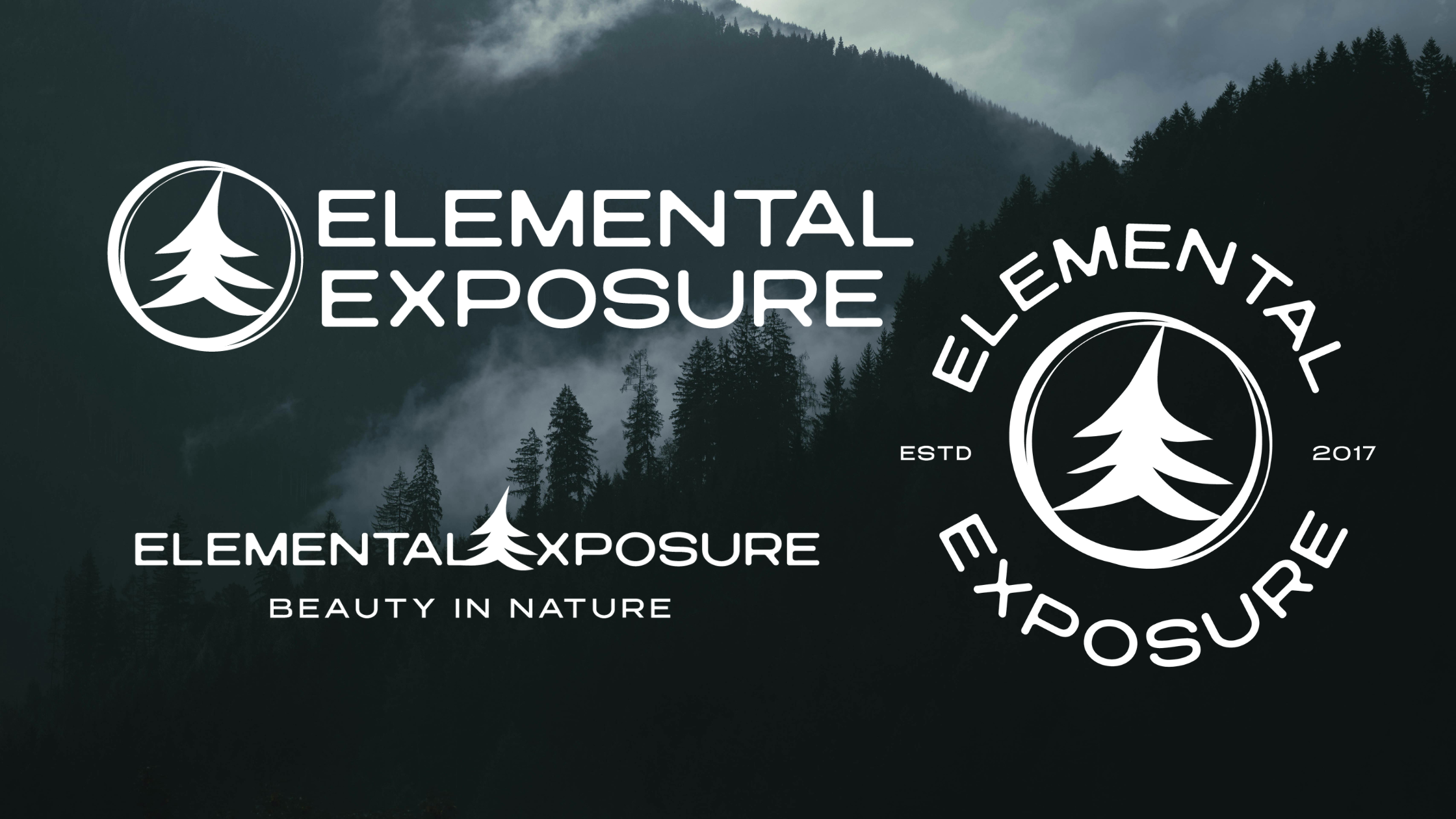 Multiple logo variations for Elemental Exposure displayed on a dark mountain backdrop with pine trees and mist