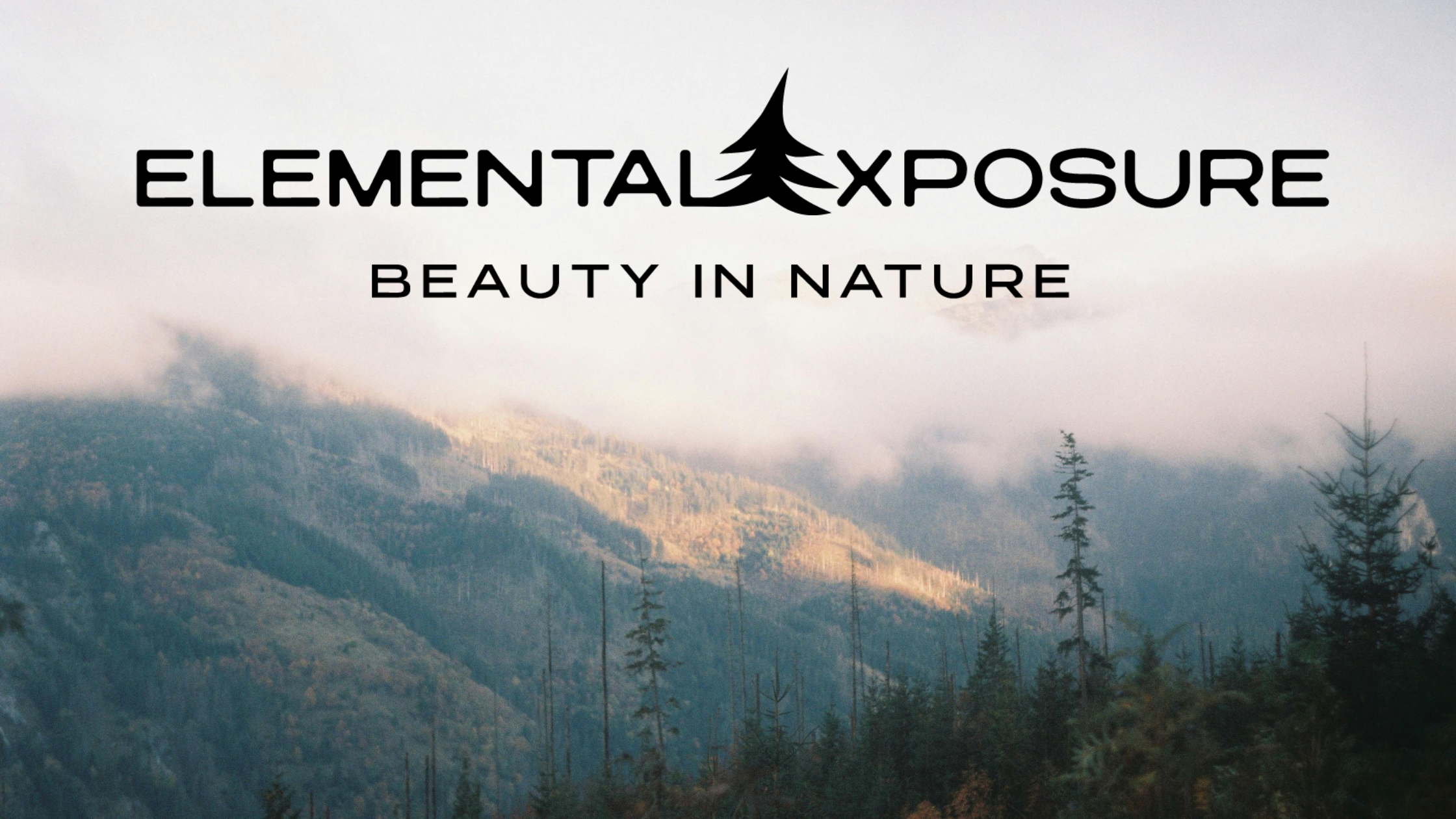 Elemental Exposure logo with stylized tree symbol displayed over a misty mountain landscape with soft clouds and pine trees