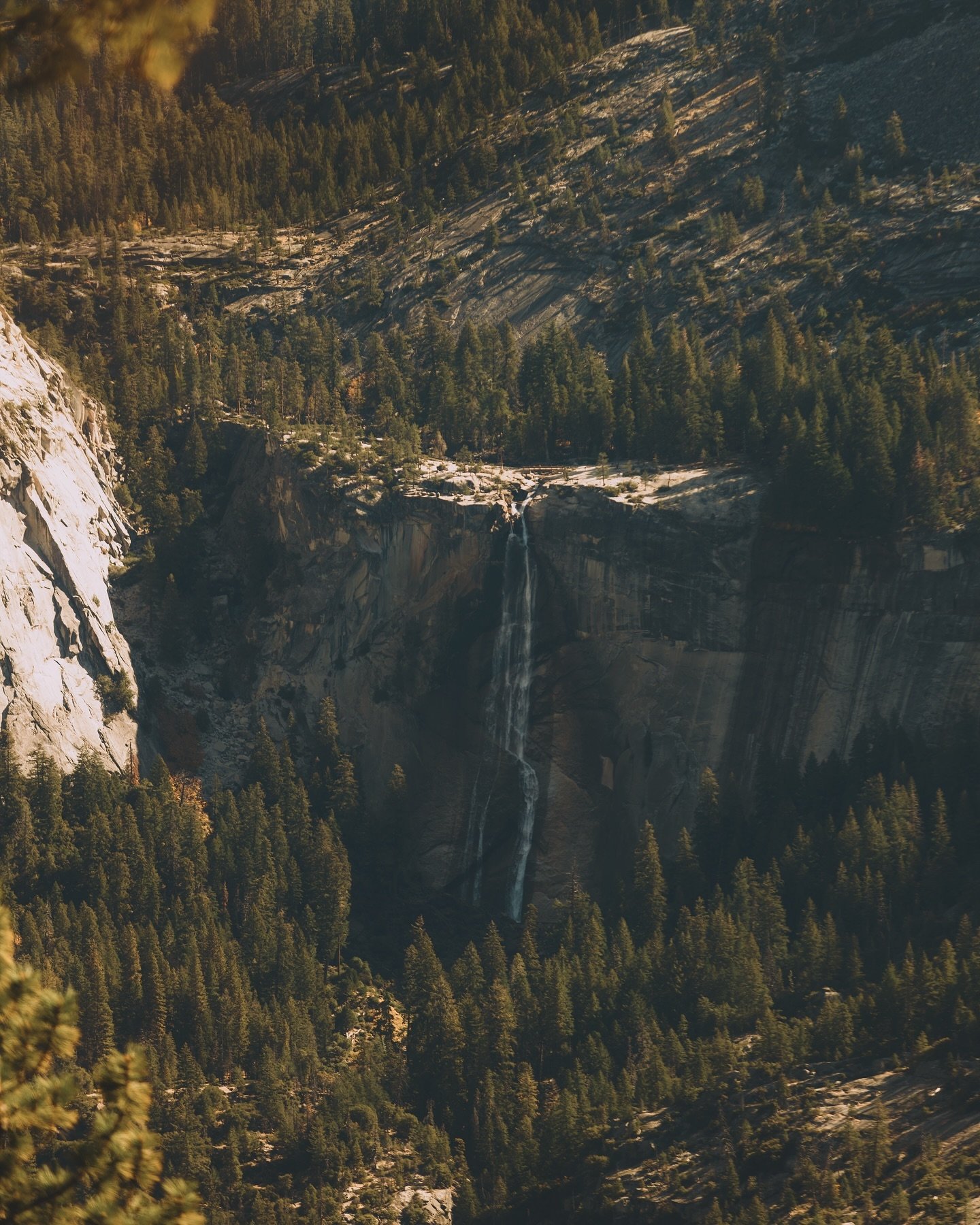 Autumn foliage with a bit of a surprise 🎞️🍂
&bull;
&bull;
Archived File: Nov 2023 A + J 🍂💍
&mdash;&mdash;&mdash;&mdash;&mdash;&mdash;
#travelphotography #yosemite #fallproposal