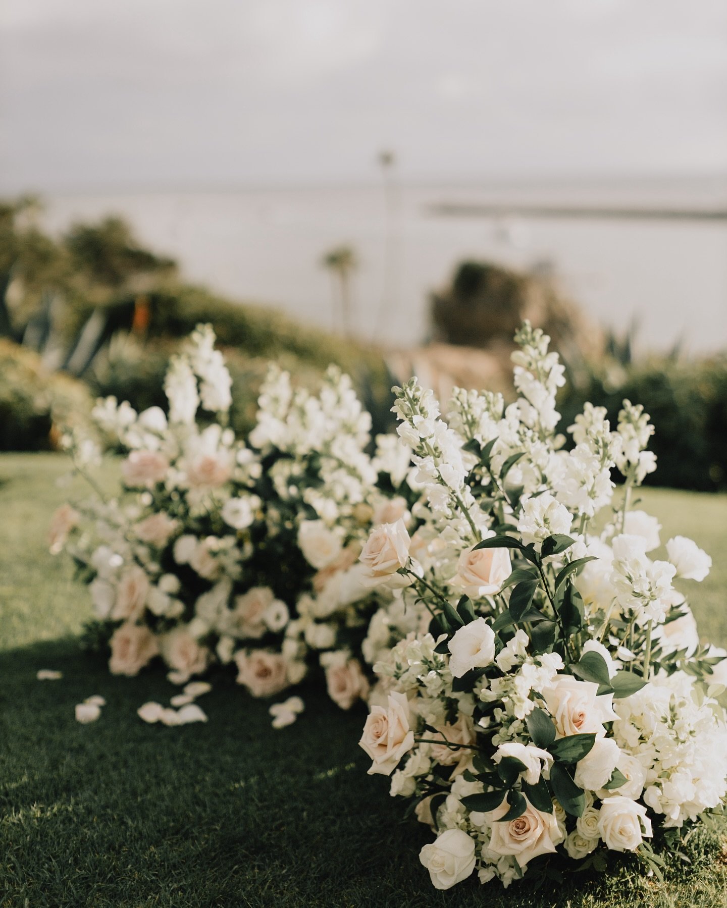 flower petals with this view, an absolute dream 💍✨
&bull;
&bull;
archived file: September 2023 A &amp; S
&mdash;&mdash;&mdash;&mdash;&mdash;&mdash;&mdash;
#engagement #surpriseproposal #beachengagement