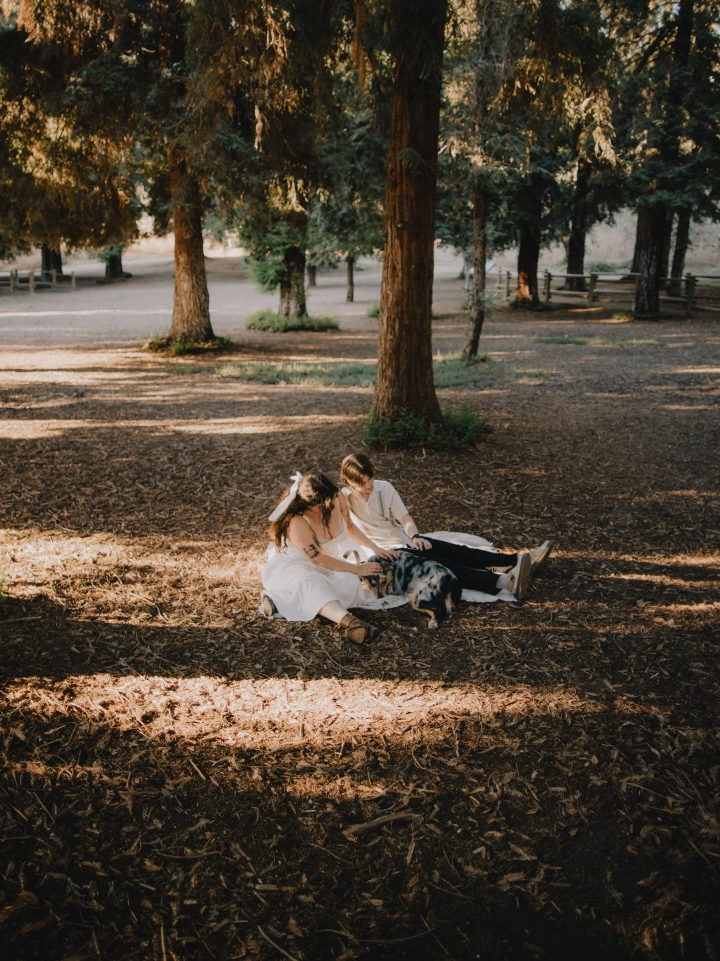 when you just know 🤍
&bull;
&bull;
Little throwback to August &amp; Jessica&rsquo;s engagement session 🥺
&mdash;&mdash;
#love #socalweddingphotographer #socalwedding #losangeles #redwood