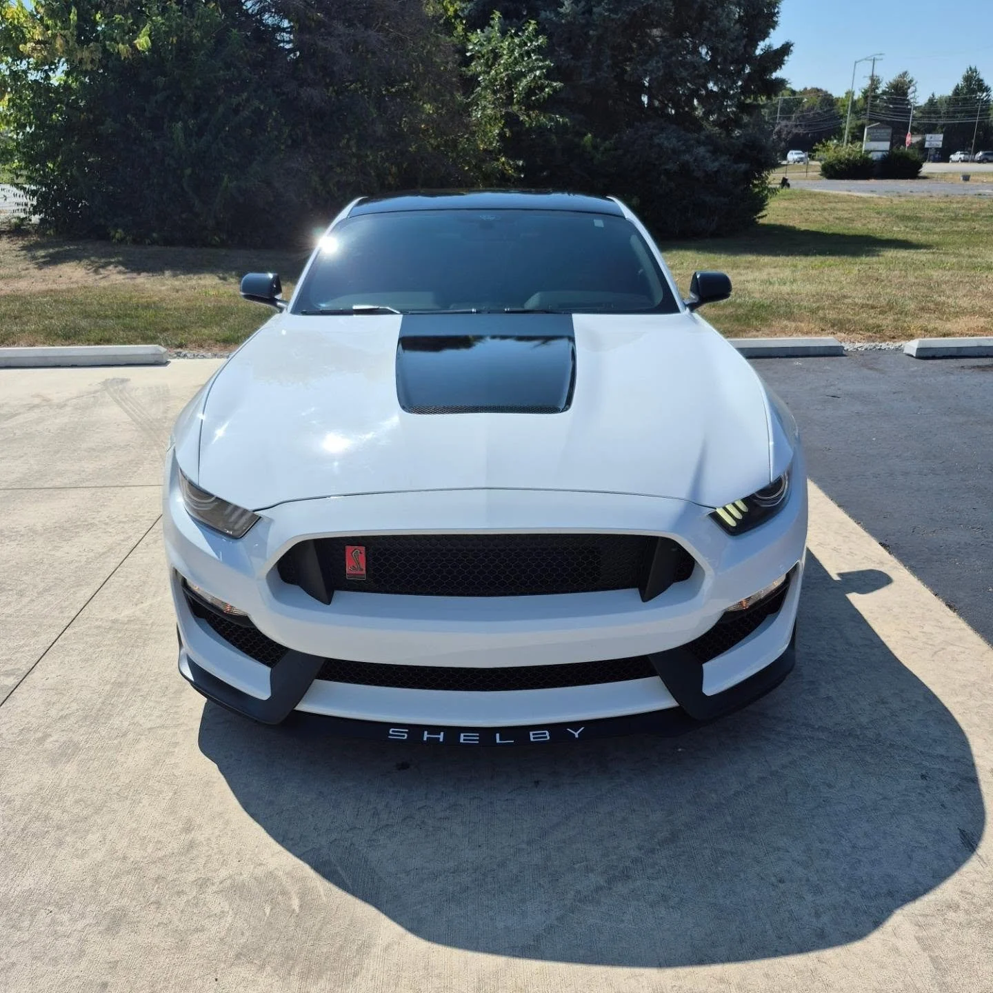 Shelby Center Hood Stripe...
&bull;
&bull;
&bull;
#wewrap #stripes #mustang #shelbymustang