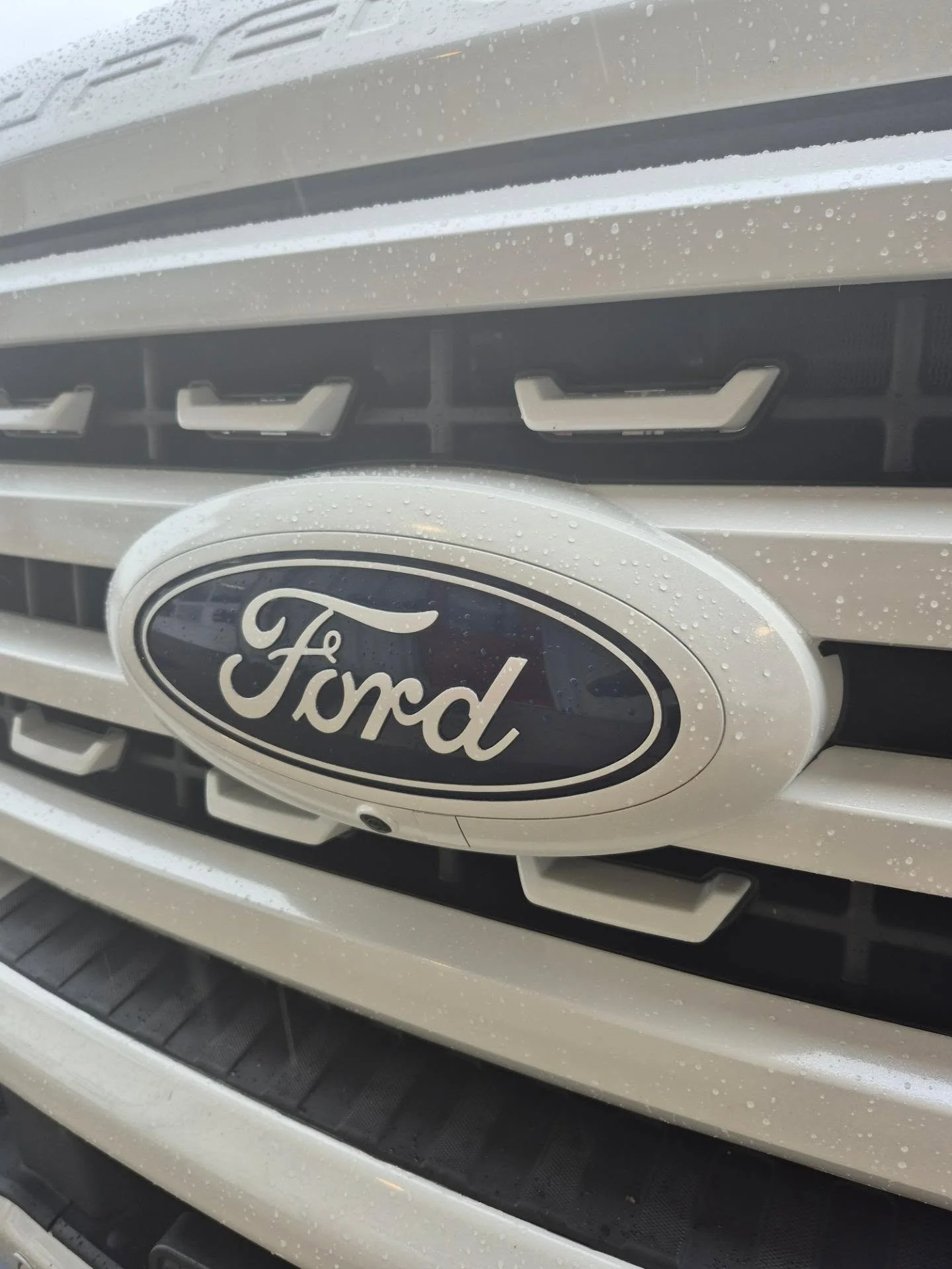 Chrome Delete in White...
Full grill, accent trim, mirrors, tailgate, light trim, &amp; badges...
&bull;
&bull;
&bull;
#wewrap #carwrap #chromedelete #white #fordtruck