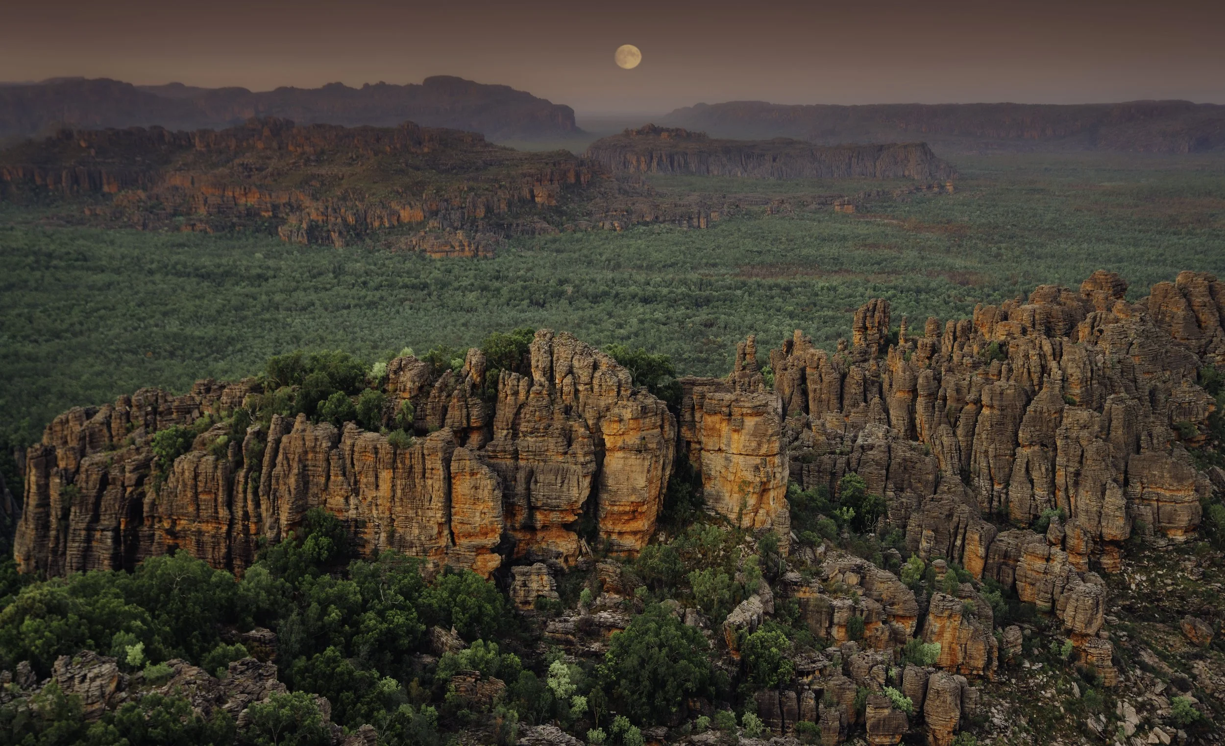 SCENE5_DISCOVER DARWIN  CRUISE KAKADU.jpg