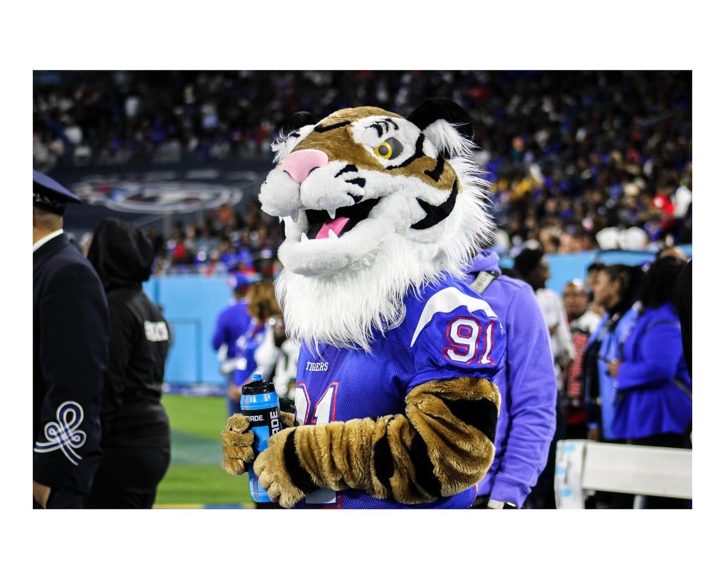 There is no way better to celebrate #NationalMascotDay than with our #HBCU mascots. The best mascots in the game! 👏🏽🔥

1. Tennessee State University 
2. Southern University
3. Savannah State University
4. Texas Southern University
5. Jackson State