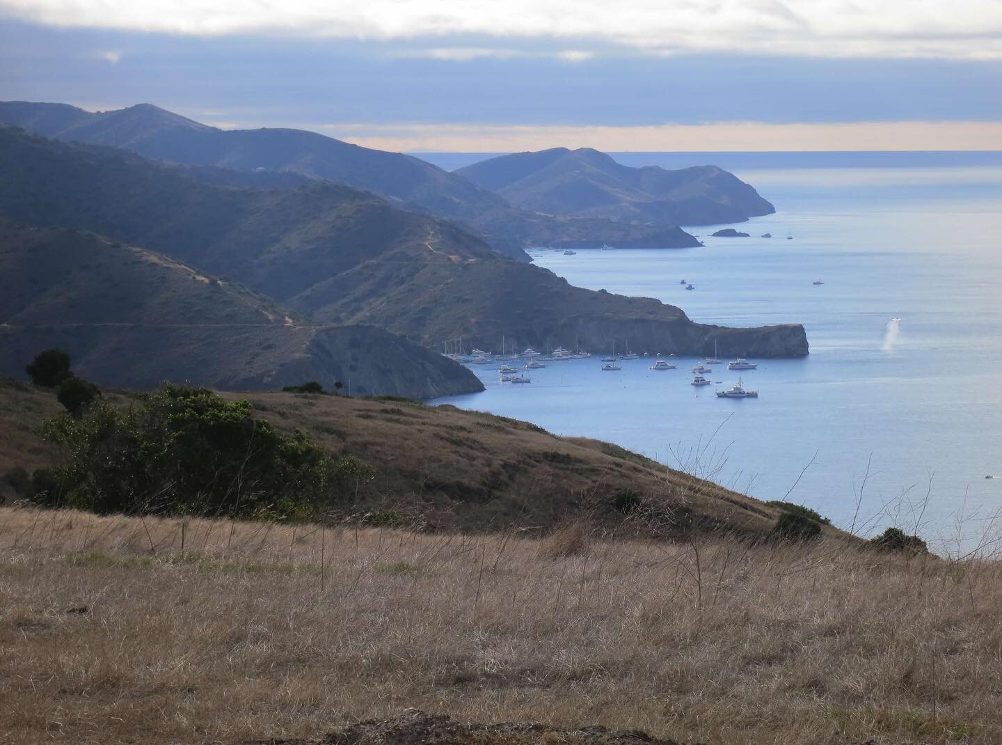 MORE TIX JUST RELEASED  catalina queer sea/camp! 
fri may 19 to sun may 21. 
kayak snorkel SUP, swim hike tidepool, beach dance play.
private cove + charter boat. 
non binary, trans &amp; queer always!
come get campy, link in bio to register. 🔻💦. c