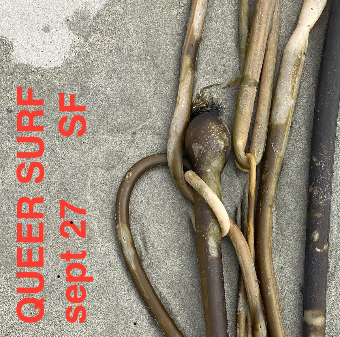 QUEER SURF TOGETHER
folsom edition 
Saturday Sept 27th, 8:30am-11:30am
SF Bay Area, RSVP for exact location. 
All bodies, all boards encouraged. 
Non binary, queer, trans always. 
Boogie, body surf, wade, swim, long board, short board, surf mat, paip