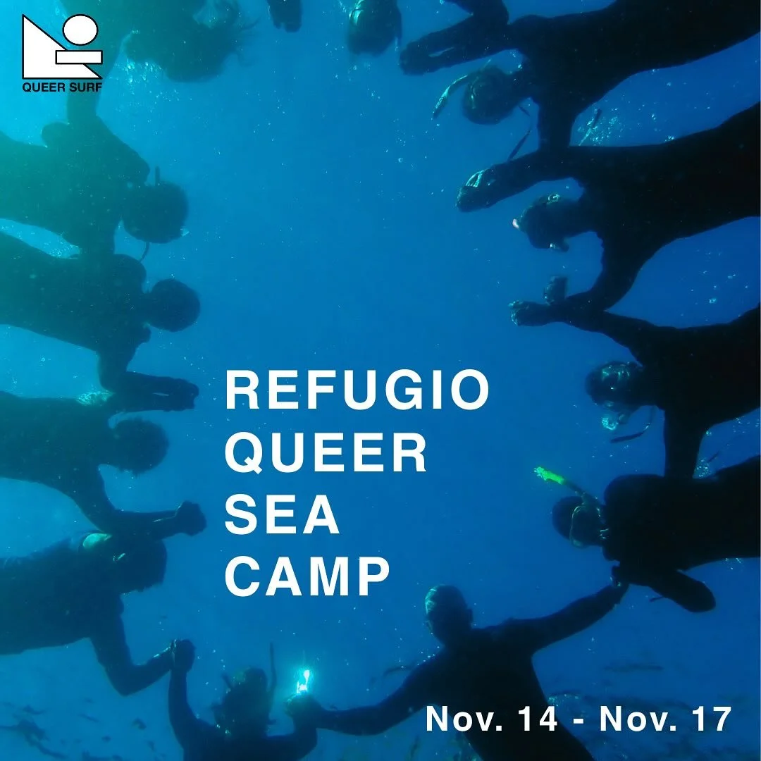 Refugio Queer Sea Camp @ Chumash Marine Sanctuary, Santa Barbara Nov 14-17

A free queer sea/surf camp for queers who have had very limited or no access to the ocean/ocean spaces. 

Intentions: 

🪁Time to heal, connect, play, rest, rage, learn, grow